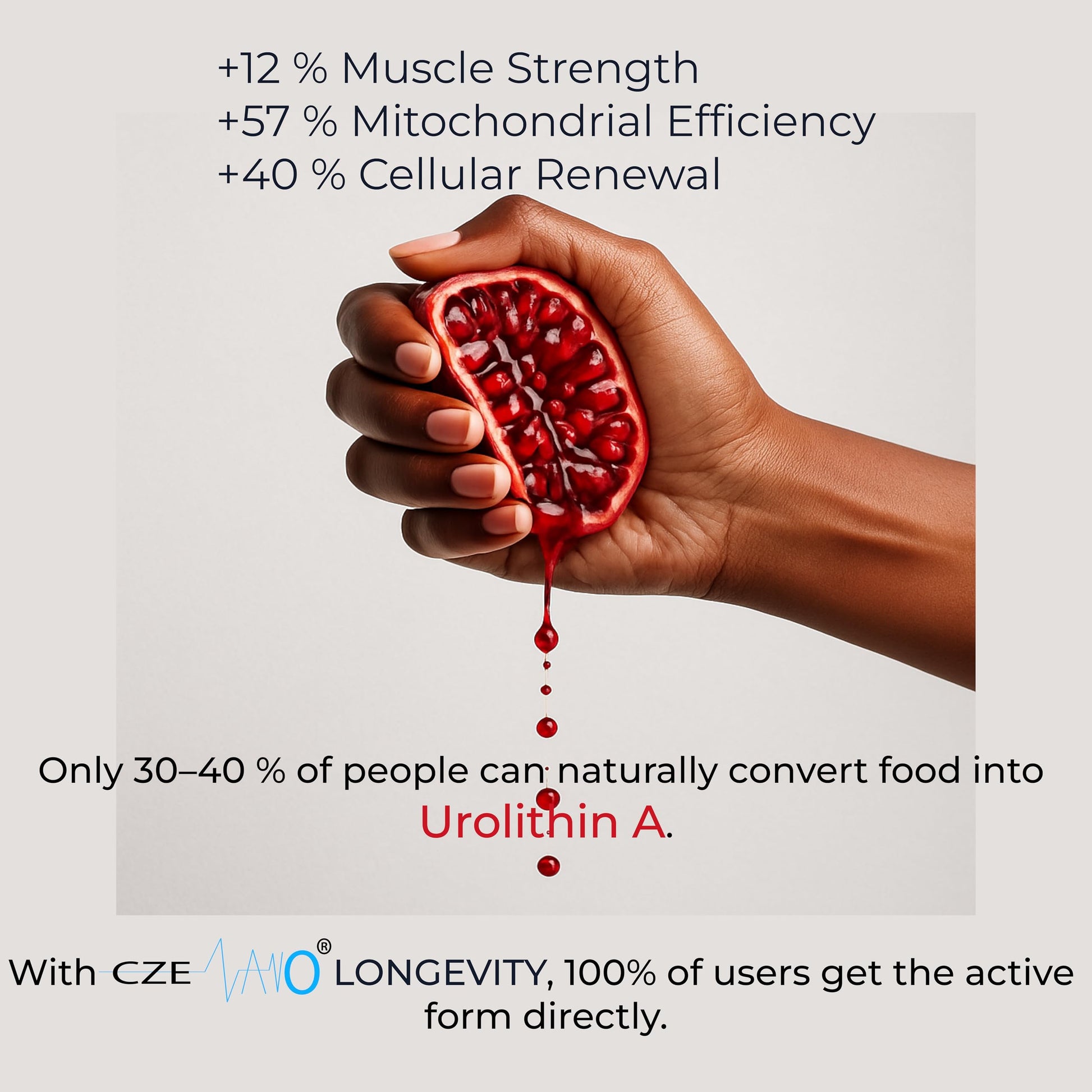 CzeNano Longevity – Ultra-Pure Urolithin A Supplement 1000 mg | Mitochondrial Support, Cellular Energy & Muscle Strength | Third-Party Tested COA | 60 Vegan Capsules CzeNano buy supplements canada