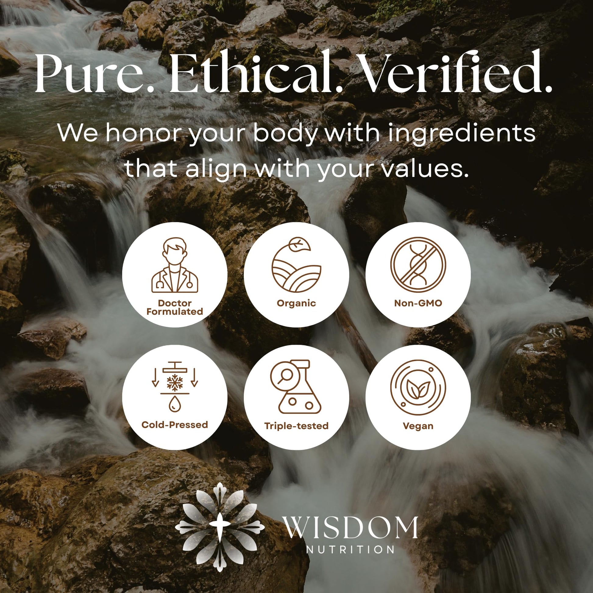 Organic Turmeric, Frankincense and Myrrh – Herbal Supplement Blend for Energy, Detox, Focus, Immunity & Stress – Non-GMO Vegan Tonic with Milk Thistle – Wisdom Bible Based Blend – 2oz Liquid Drops Wisdom Nutrition buy supplements canada