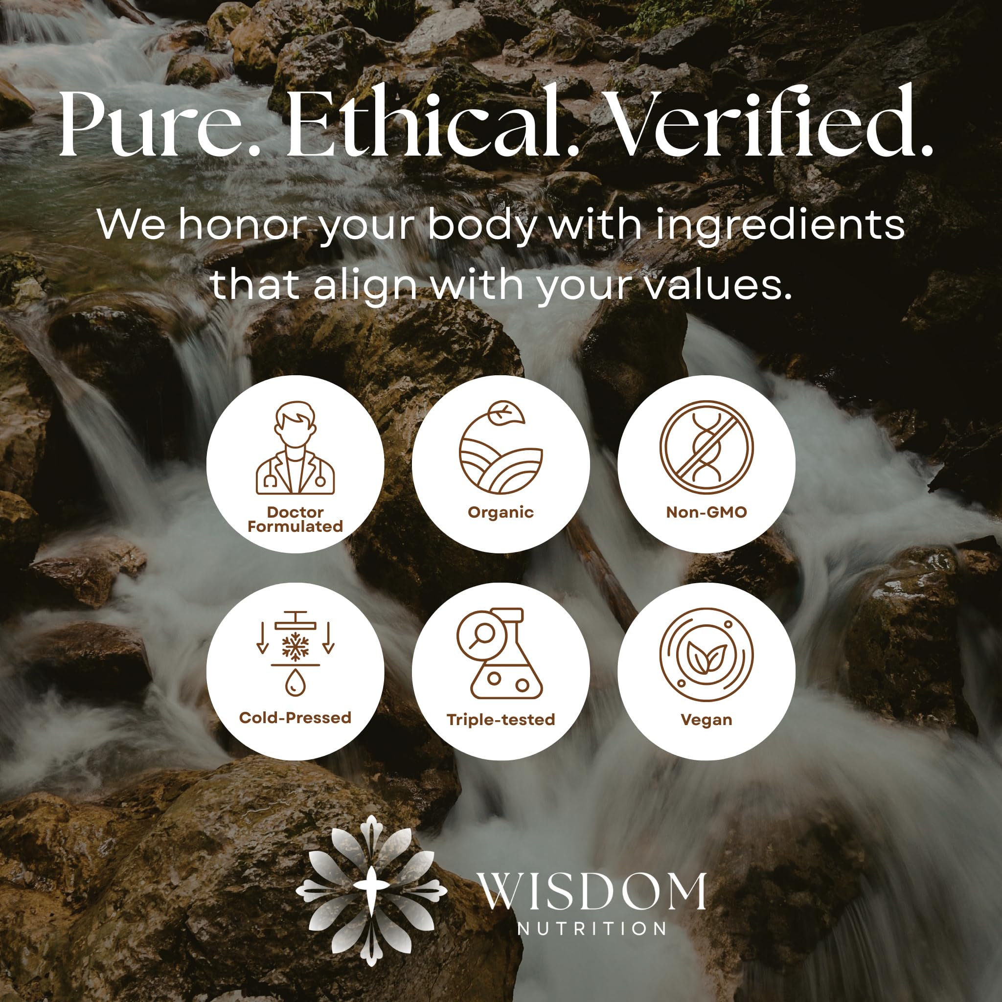 Organic Turmeric, Frankincense and Myrrh – Herbal Supplement Blend for Energy, Detox, Focus, Immunity & Stress – Non-GMO Vegan Tonic with Milk Thistle – Wisdom Bible Based Blend – 2oz Liquid Drops Wisdom Nutrition buy supplements canada