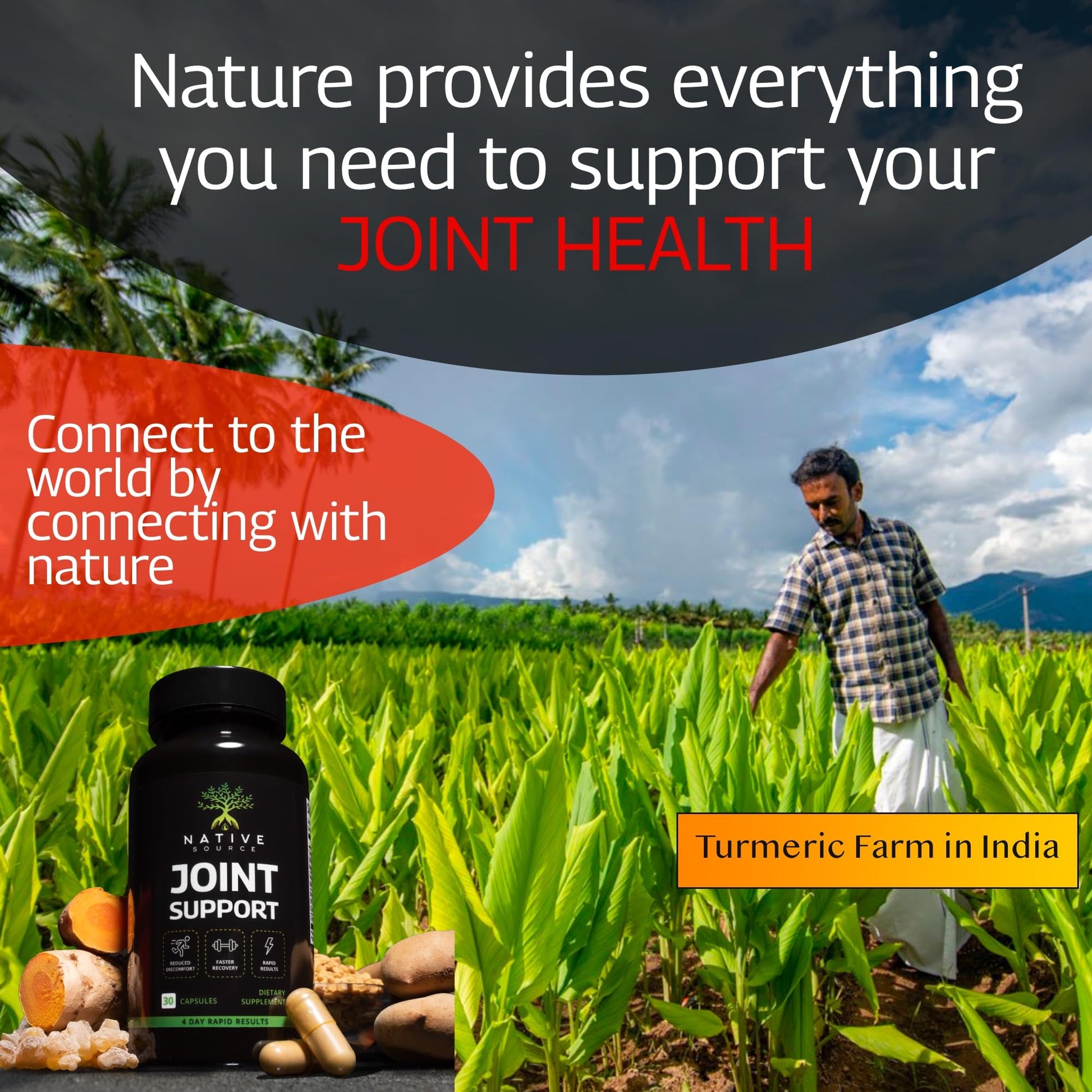Native Source Joint Support Supplement - Turmeric - Tamarind - Boswellia - Fenugreek Native Source buy supplements canada