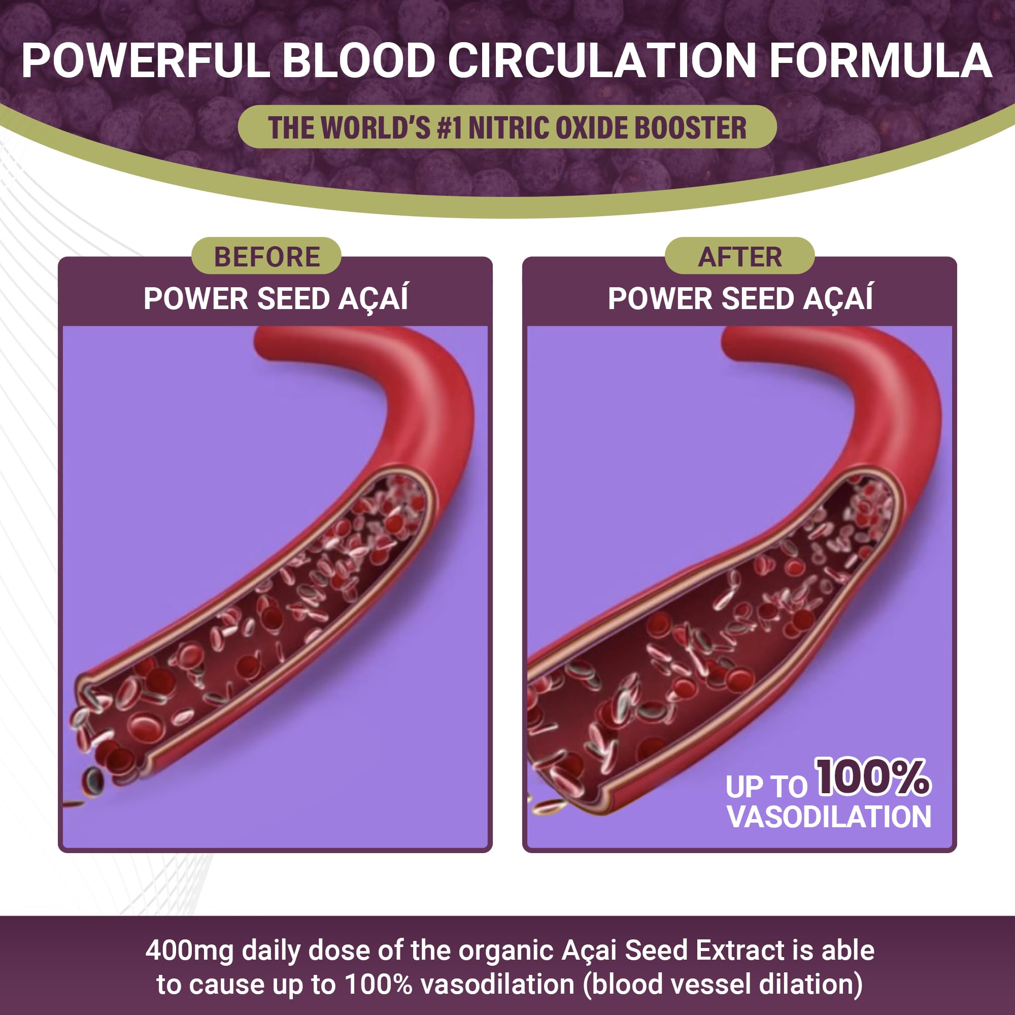 POWER SEEDAÇAÍ New Patented Nitric Oxide Supplement -Increase Blood Flow & Circulatio POWER SEEDAÇAÍ buy supplements canada