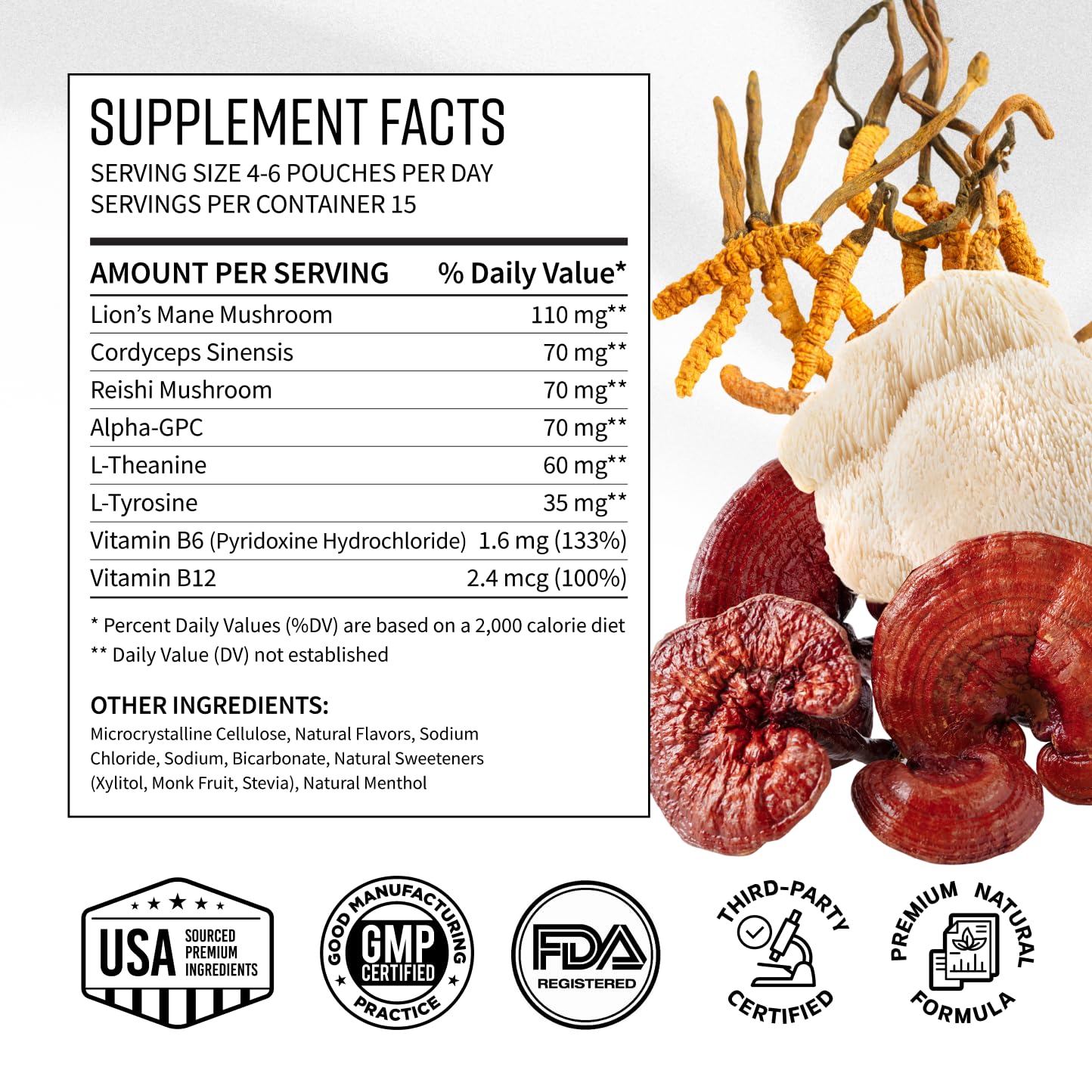 Adaptogen Mushroom Nootropic Pouches (4 Pack Bundle) - 250mg Mushroom Blend + 165mg Energy Blend, Nicotine Free & Caffeine Free, Ultra Pouch with Lion's Mane, Cordyceps, Reishi, Alpha-GPC, L-Theanine GGGJ buy supplements canada