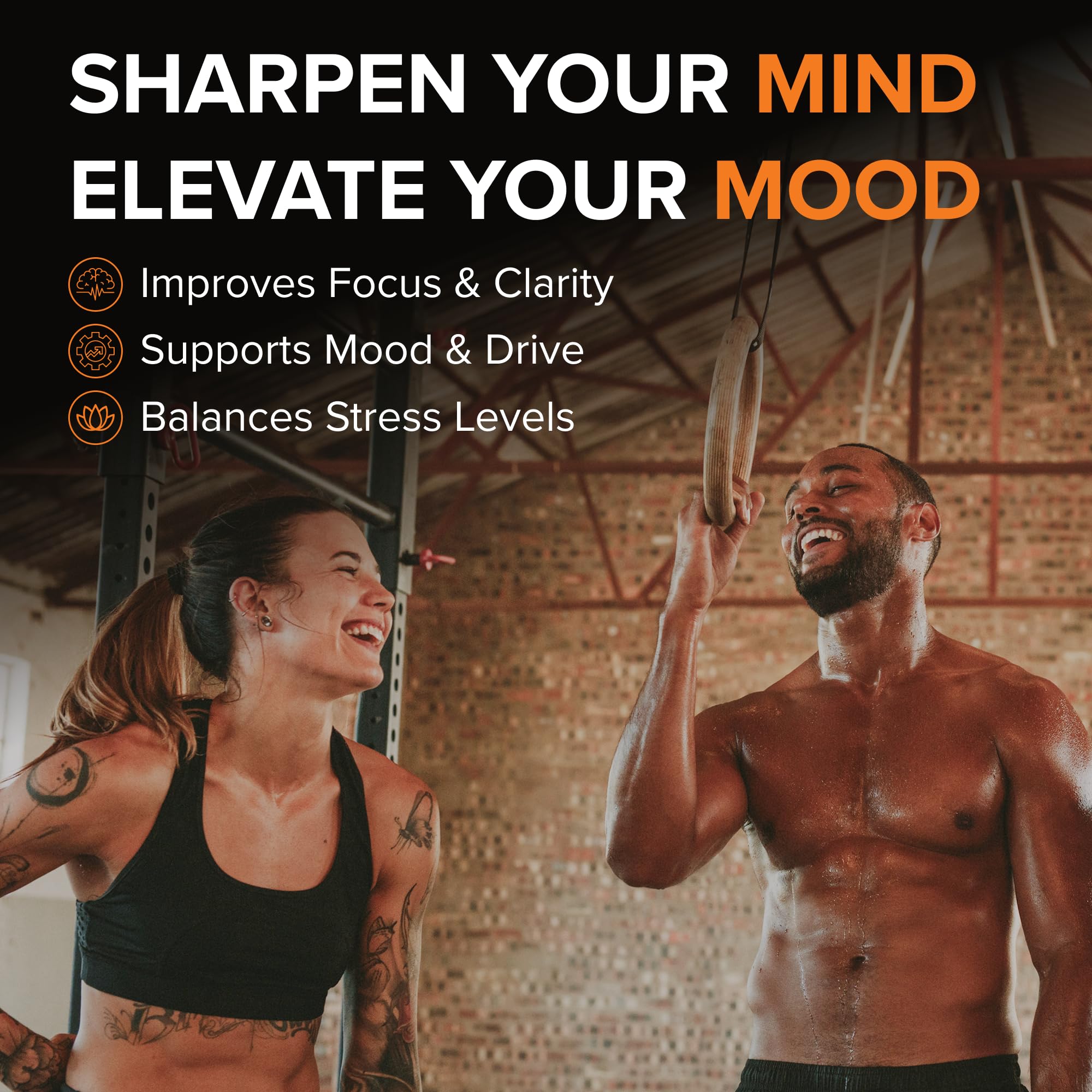 STRIVLABS Peak Potential 12-in-1  Support for Men – Fenugreek, Ashwagandha & Tongkat Ali – Natural Strength STRIVLABS buy supplements canada