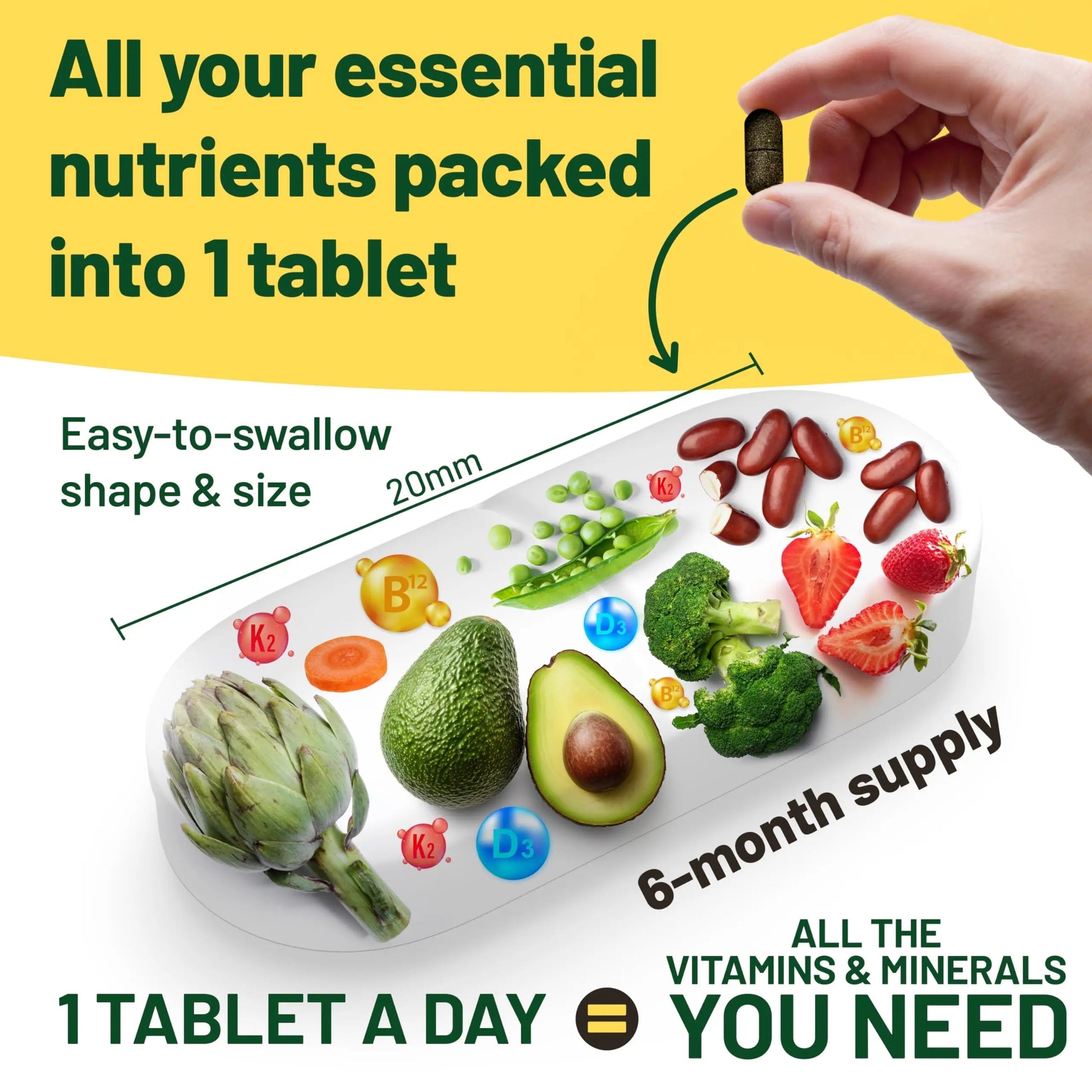 Vegan Vitality Immunity Booster Bundle 6 Months - Vegan Multivitamins and Vegan Omega 3 Algae Oil. High Strength Plant Based Formula for Immunity Vegan Vitality buy supplements canada
