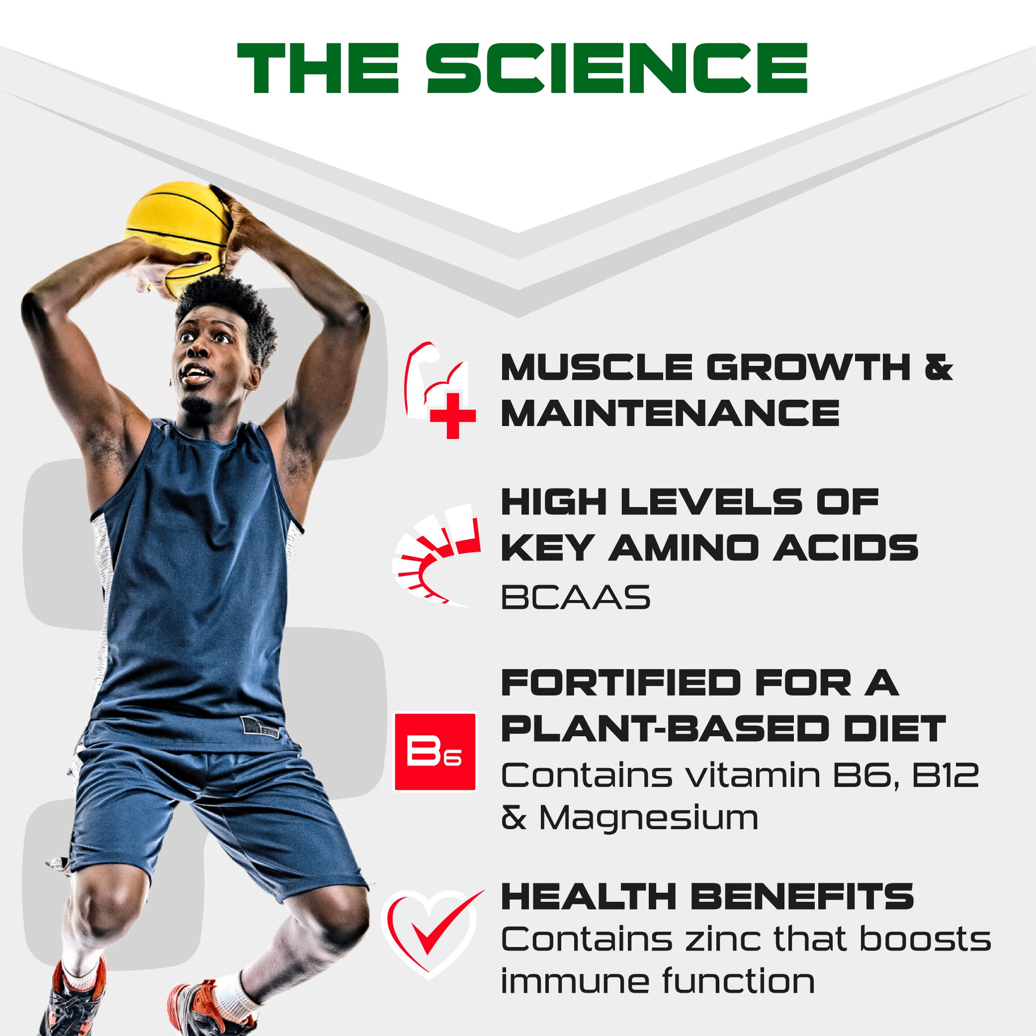 SCI-MX Pro-V Gain - 100% Vegan Vanilla Flavour Soy Protein Powder Isolate + B12 + Magnesium SCI-MX buy supplements canada