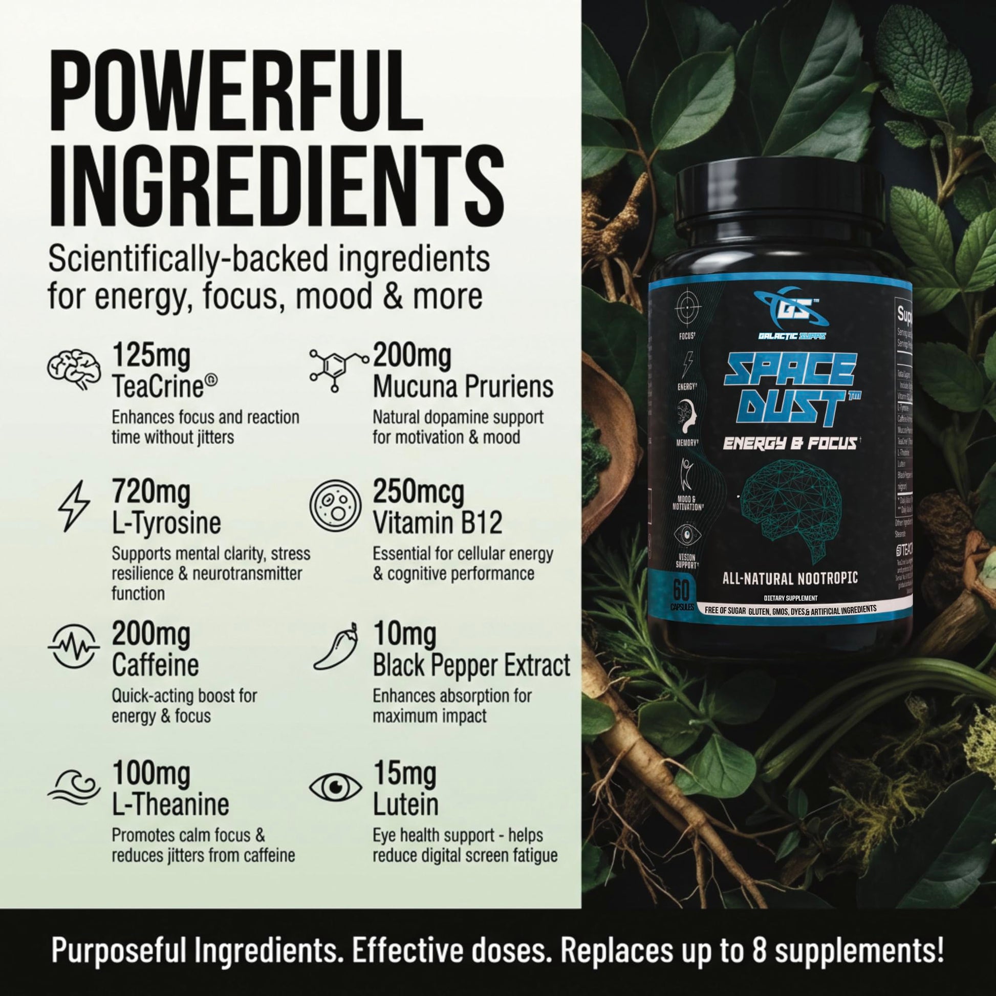 Space Dust Brain Supplements for Memory and Focus – Nootropic Focus Supplement for Brain Health & Mind Boost with TeaCrine, Caffeine, L-Tyrosine, L-Theanine – Cognitive Support Capsules, 60 Count GALACTIC SUPPS buy supplements canada