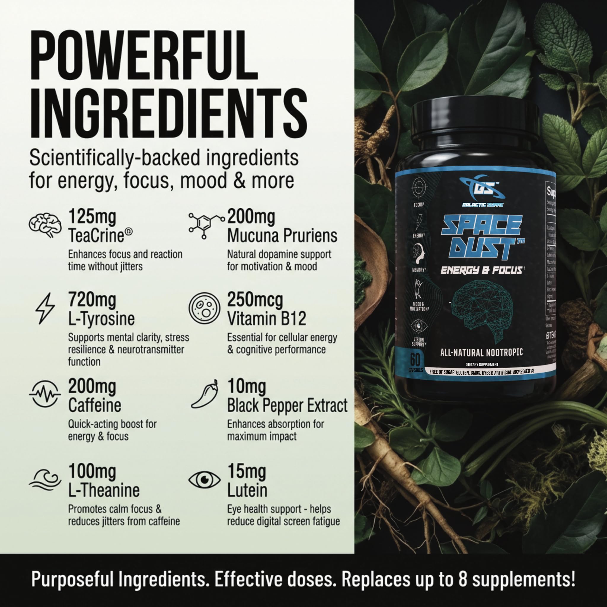 Space Dust Brain Supplements for Memory and Focus – Nootropic Focus Supplement for Brain Health & Mind Boost with TeaCrine, Caffeine, L-Tyrosine, L-Theanine – Cognitive Support Capsules, 60 Count GALACTIC SUPPS buy supplements canada