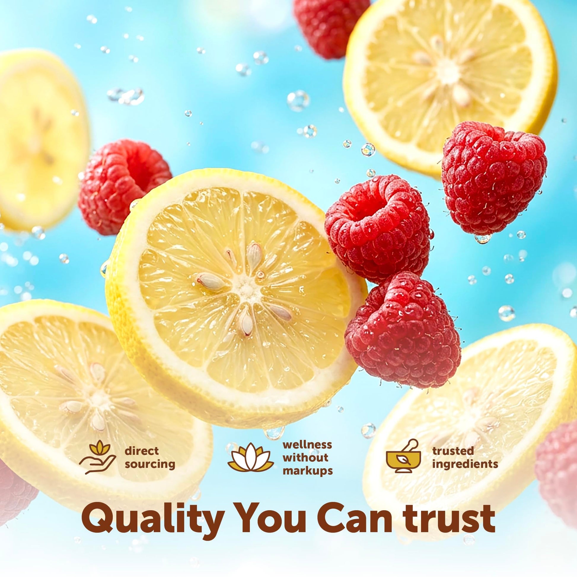Micro Ingredients Hydration Electrolyte Powder, 1 lb (69 Servings) | Lemon Raspberry Flavor | High Potassium (1,000mg) + Coconut Water & Real Lemon Juice | No Sugar, Keto Friendly | Non-GMO Micro Ingredients buy supplements canada