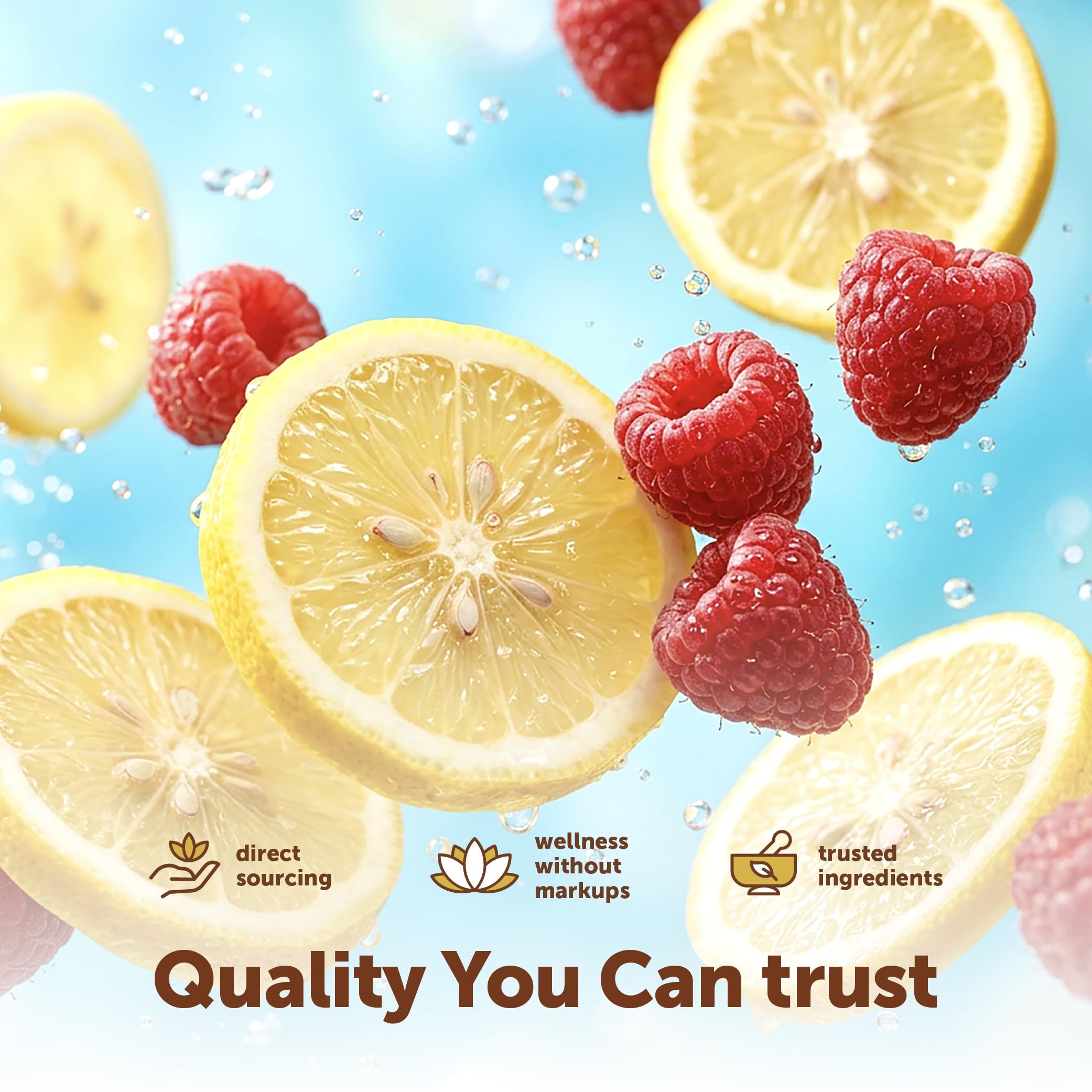 Micro Ingredients Hydration Electrolyte Powder, 1 lb (69 Servings) | Lemon Raspberry Flavor | High Potassium (1,000mg) + Coconut Water & Real Lemon Juice | No Sugar, Keto Friendly | Non-GMO Micro Ingredients buy supplements canada