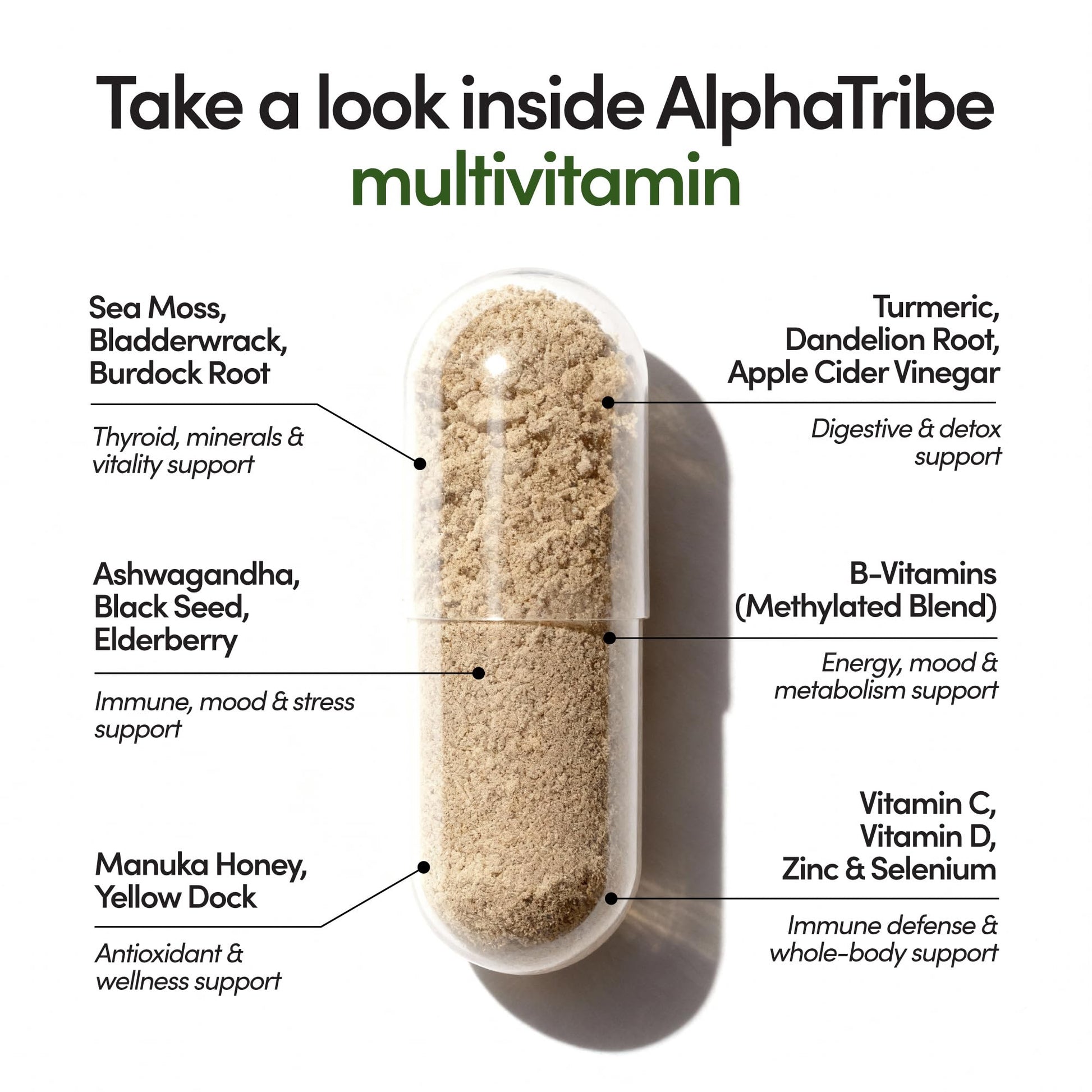 Alpha Tribe Multivitamin for Men & Organizer w/Seamoss Black Seed Oil Ashwagandha Burdock Root Turmeric Bladderwrack Vitamin C | Daily Men's Vitamins & Minerals Supplement | 60 Count Alpha Tribe buy supplements canada