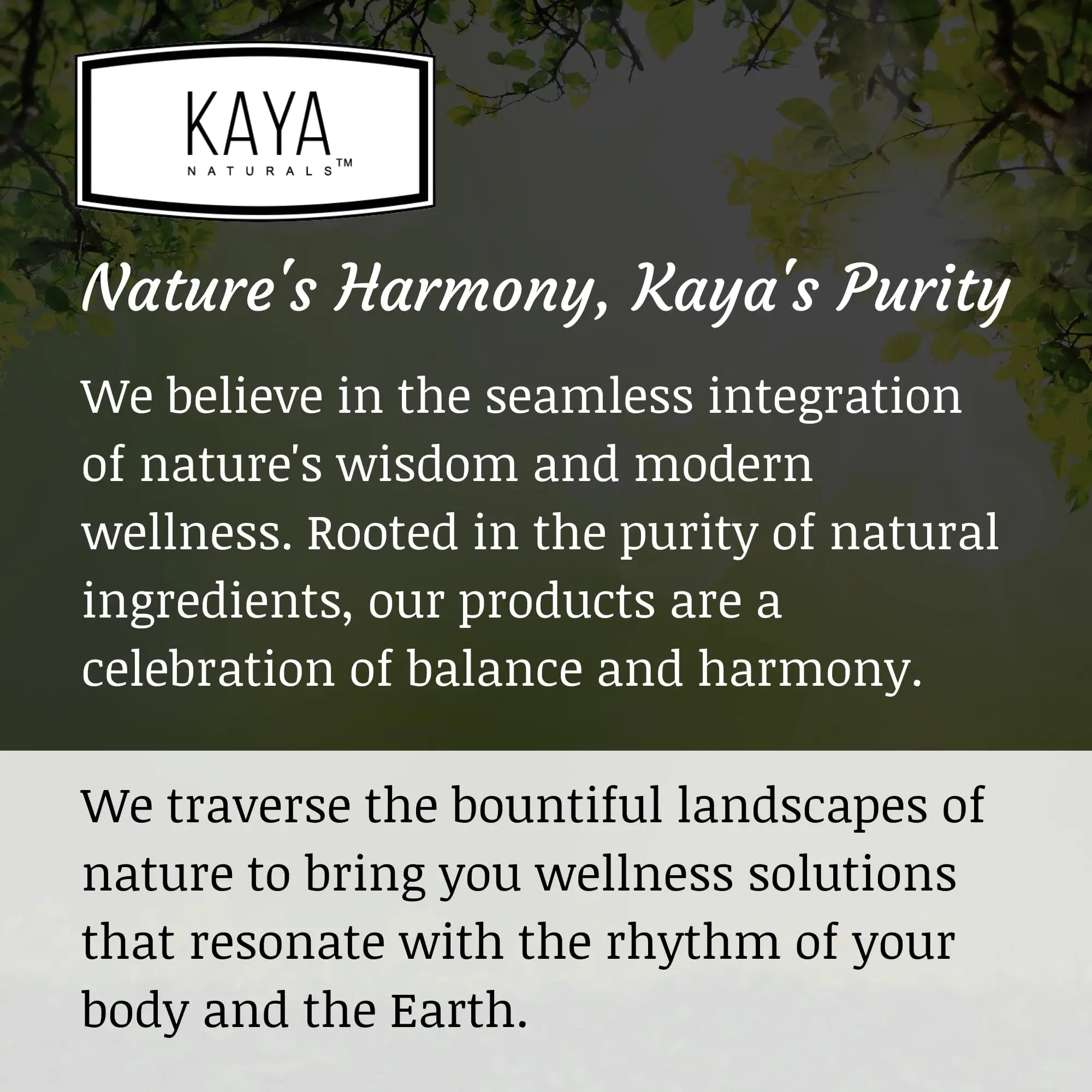 Kaya Naturals Women's Multivitamin, Overall Healthy Antioxidant, and Immune Support, Vitamins A, D, C, E, Biotin Kaya Naturals buy supplements canada