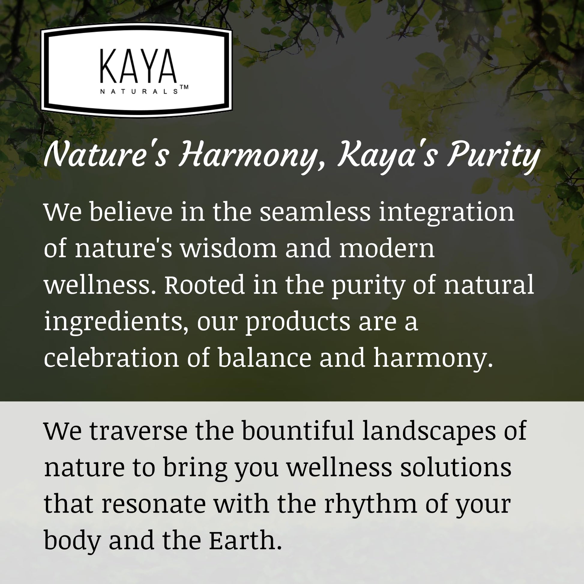 Kaya Naturals - Natural Herbal Support Vitamin Supplement are Designed to Help You find Balance and Relaxation in Your Daily Routine - Vitamin Supplement - 180 Capsules Kaya Naturals buy supplements canada