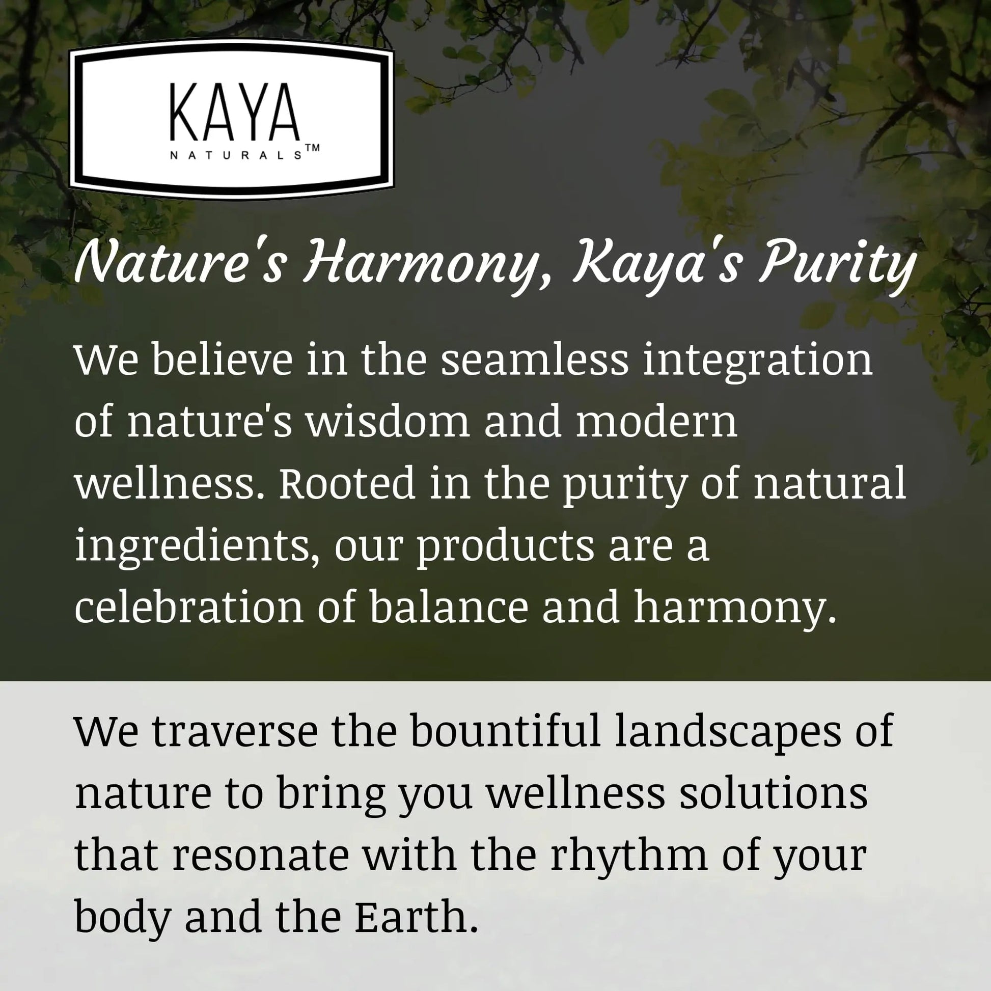 Kaya Naturals Moringa Leaf Extract - Complete Greens Superfood Supplement - Pure Miracle Tree Moringa - Boost Energy Naturally Kaya Naturals buy supplements canada