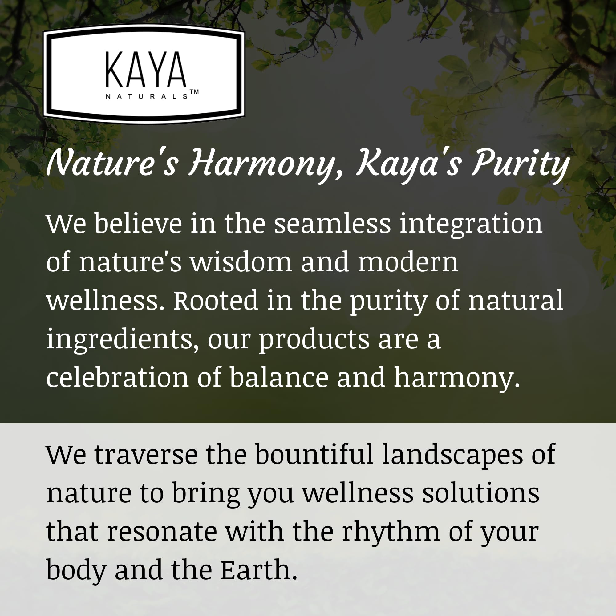 Kaya Naturals Oxy Burn - Weight Loss Pills for Women & Men - Appetite Suppressant Kaya Naturals buy supplements canada
