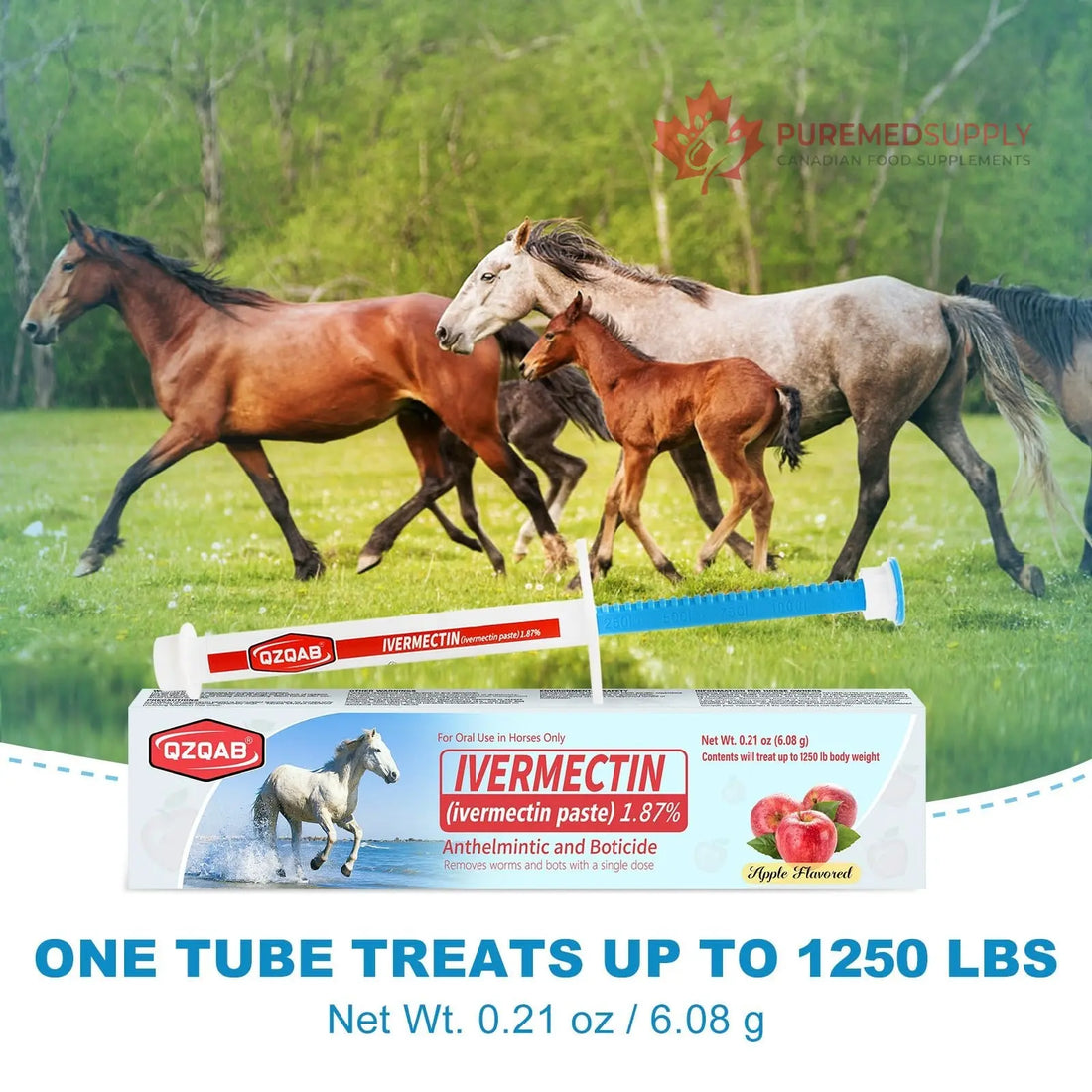 Ivermectin Horse Paste Dewormer , Horse Wormer Paste, Apple Flavor, 0.21 Ounces, 6 Pack QZQAB buy supplements canada