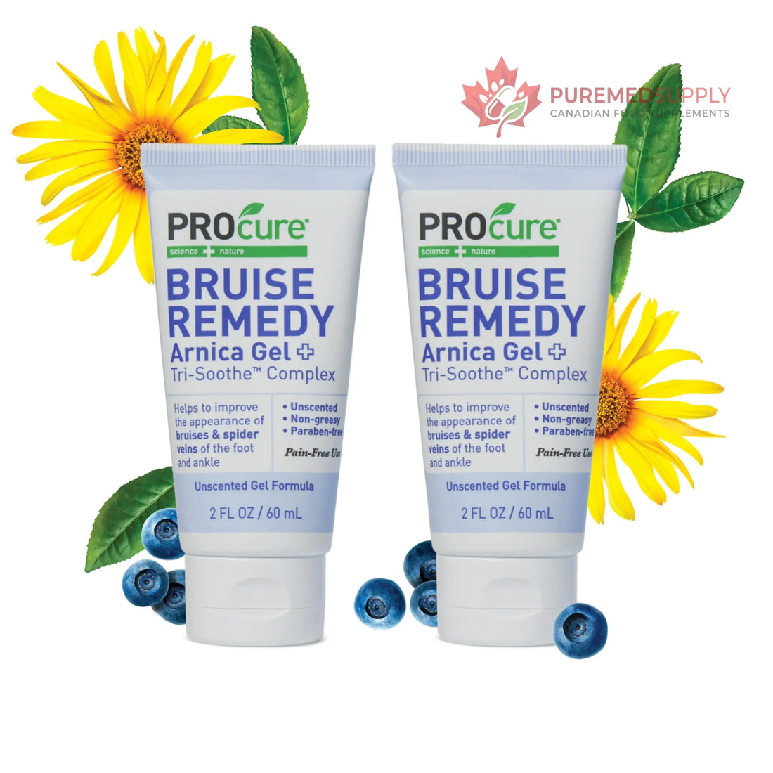PROcure Arnica & MSM Bruise Remedy Gel – Paraben-Free, Unscented Arnica Montana Gel for Bruising, Spider Veins & Skin Discoloration – 2 Pack PROcure buy supplements canada