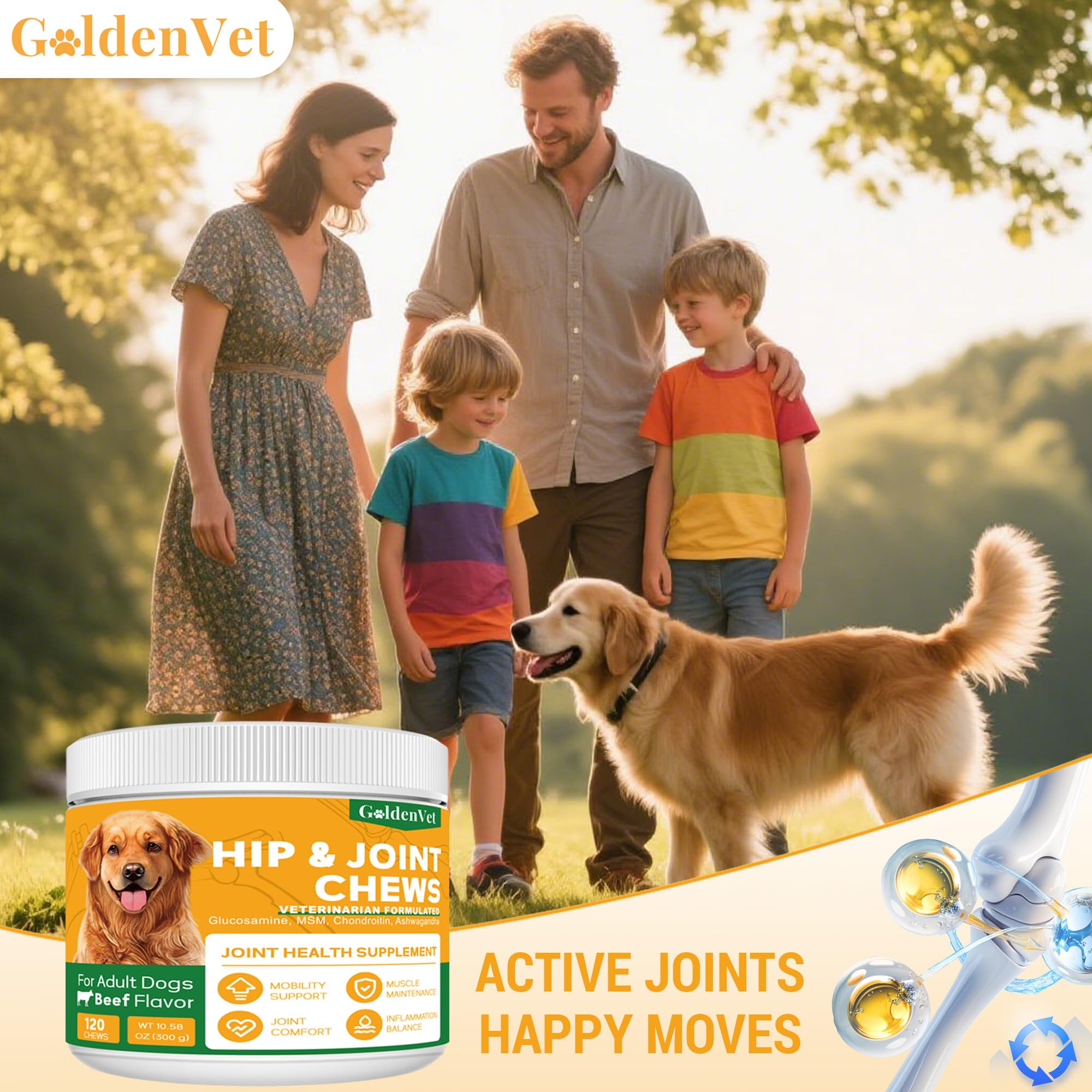 Hip and Joint Chews for Senior Dogs with Glucosamine HCL, Chondroitin, Green-lipped Mussel, Ashwagandha for Anti Inflammatory, Mobility Support, Muscle Maintenance, Joint Comfort 120 Ct GOLDENVET buy supplements canada