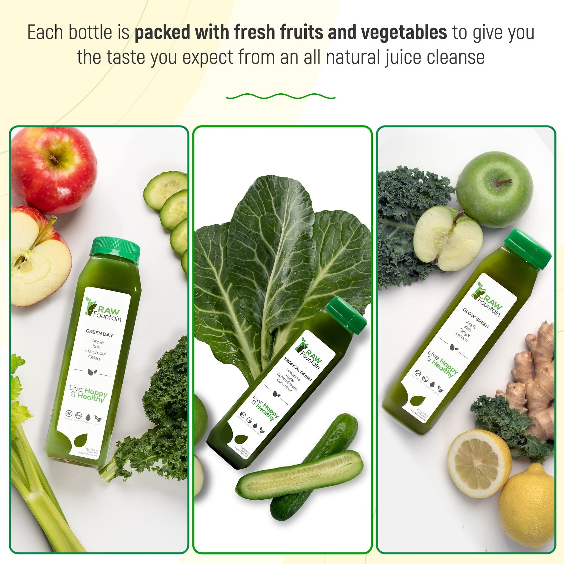 Raw Fountain 5 Day Green Juice Cleanse, All Natural Raw, Vegan Detox, Cold Pressed Raw Fountain buy supplements canada