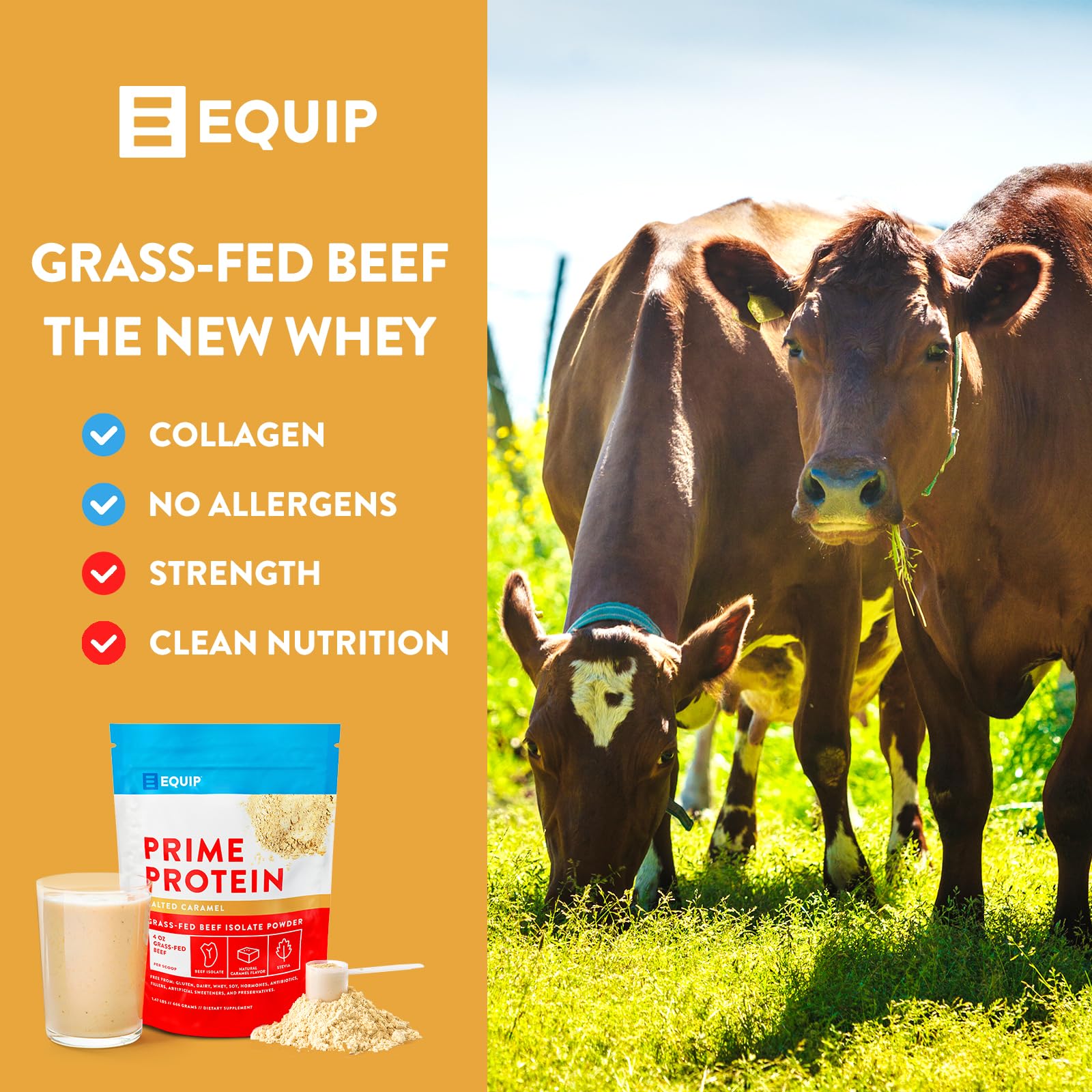 Equip Foods Prime Protein - Grass Fed Beef Protein Powder Isolate - Paleo and Keto Equip buy supplements canada