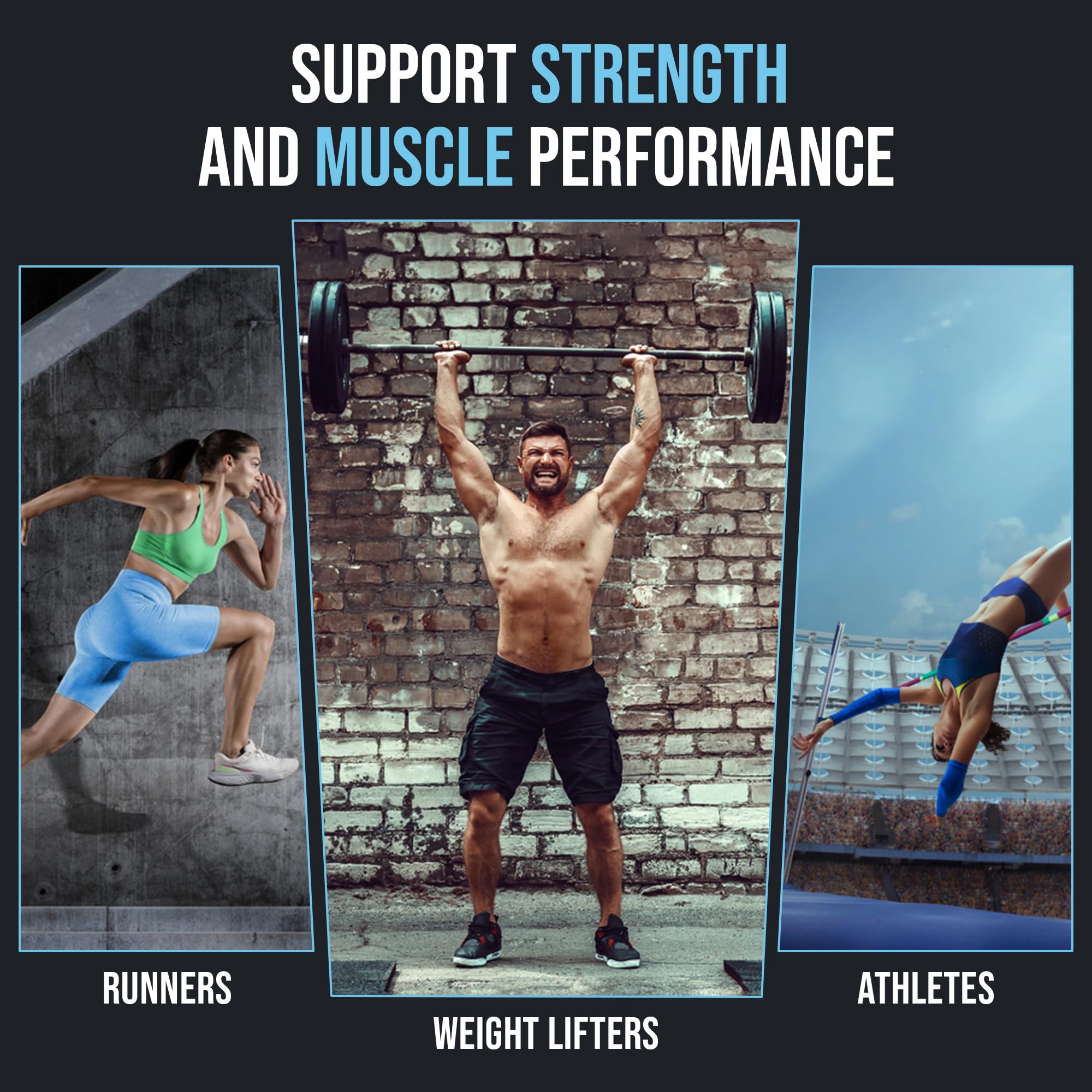 NHHS Micronized Creatine Monohydrate – Supports Strength & Muscle Performance | Ultra-Pure, Unflavored, 60 Servings, 300 Grams – Made in USA, Gluten-Free, Non-GMO NHHS buy supplements canada