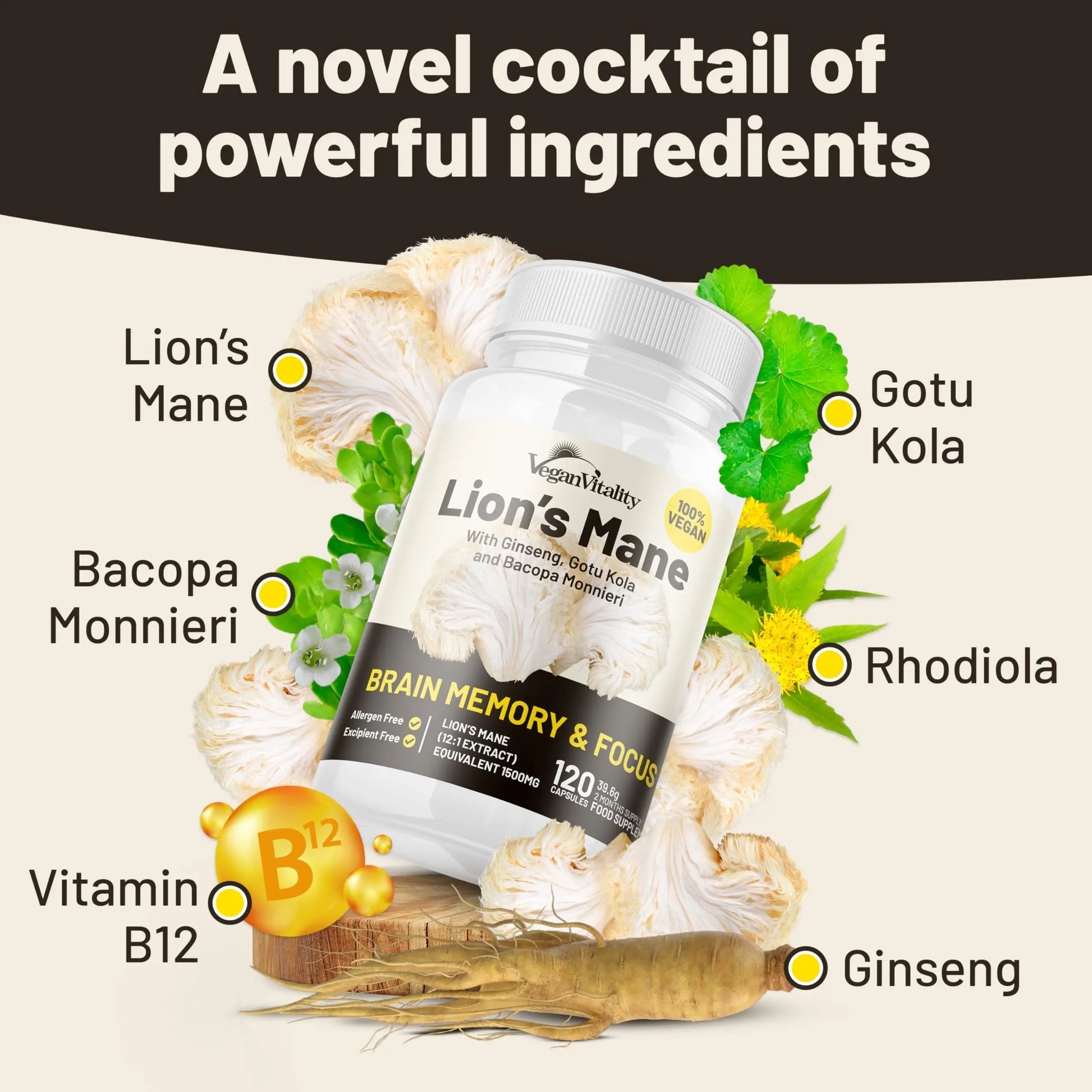 Vegan Vitality Lion's Mane x General Health Combo Bundle - 6 Months Lion's Mane and Multivitamins Vegan Vitality buy supplements canada