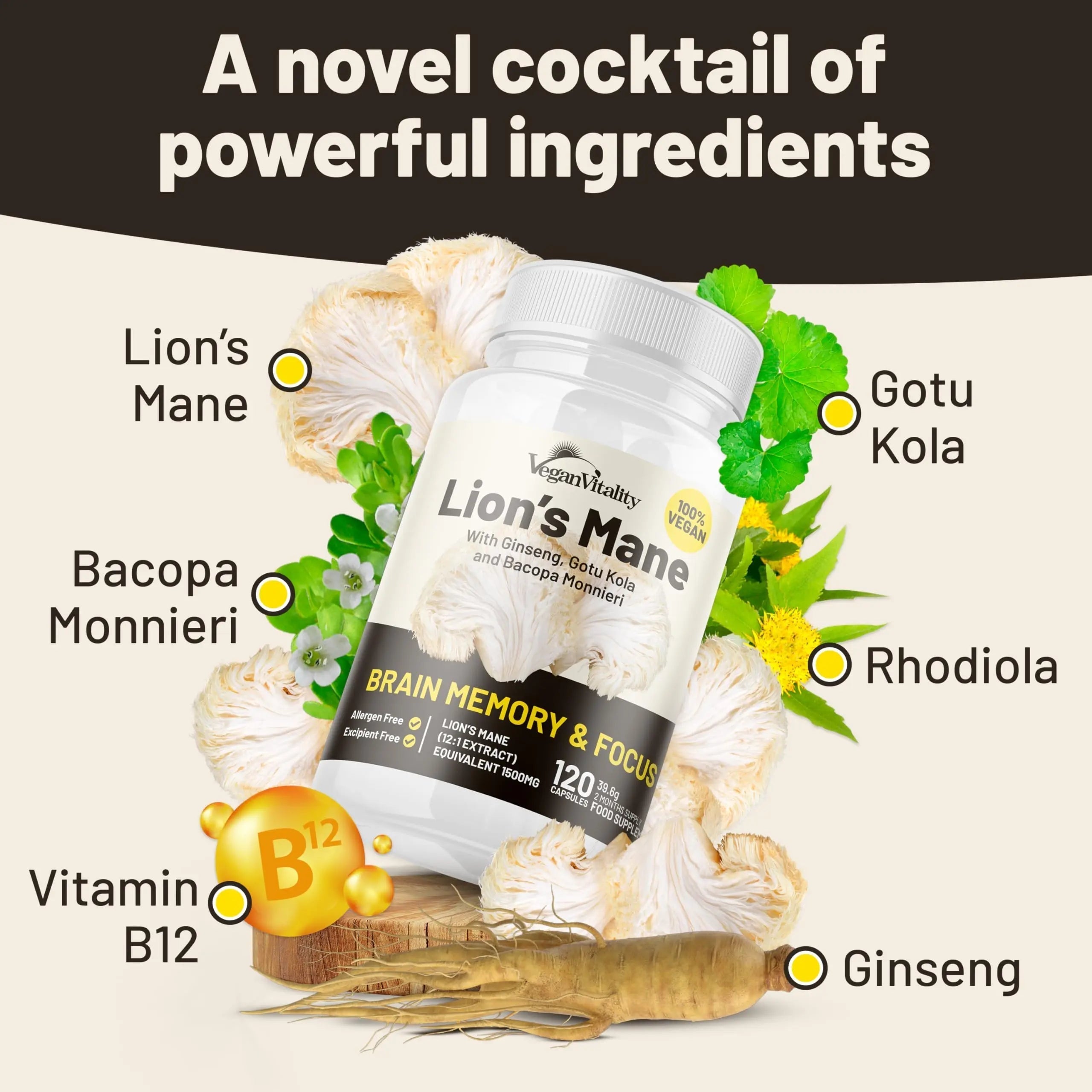 Vegan Vitality Lion's Mane x General Health Combo Bundle - 6 Months Lion's Mane and Multivitamins Vegan Vitality buy supplements canada