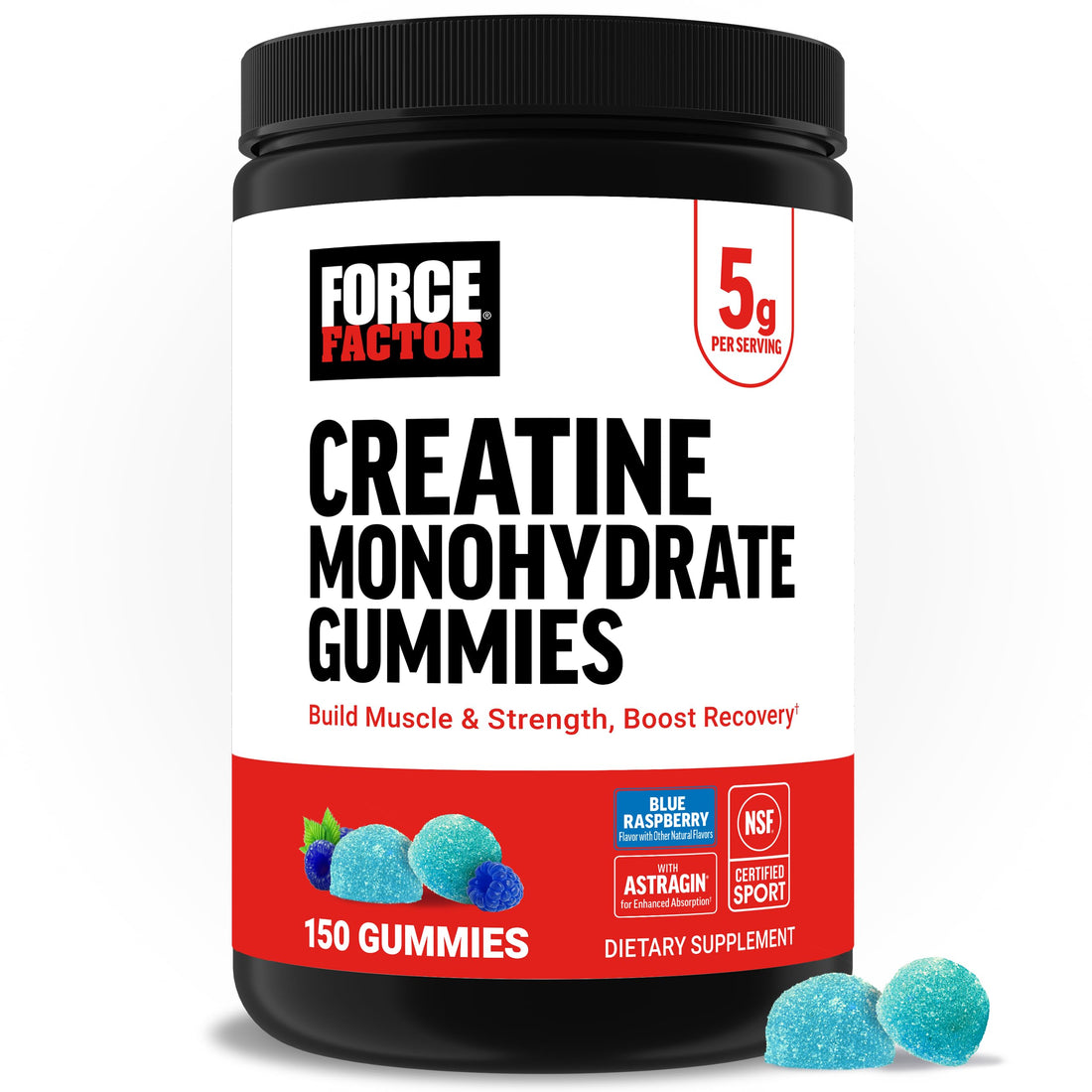 Force Factor Creatine Monohydrate Gummies, NSF Certified, 5g Dose for Men & Women to Support Muscle, Strength, Recovery, Cognitive Health & Memory, Packaging May Vary, Blue Raspberry, 150 Gummies Force Factor buy supplements canada