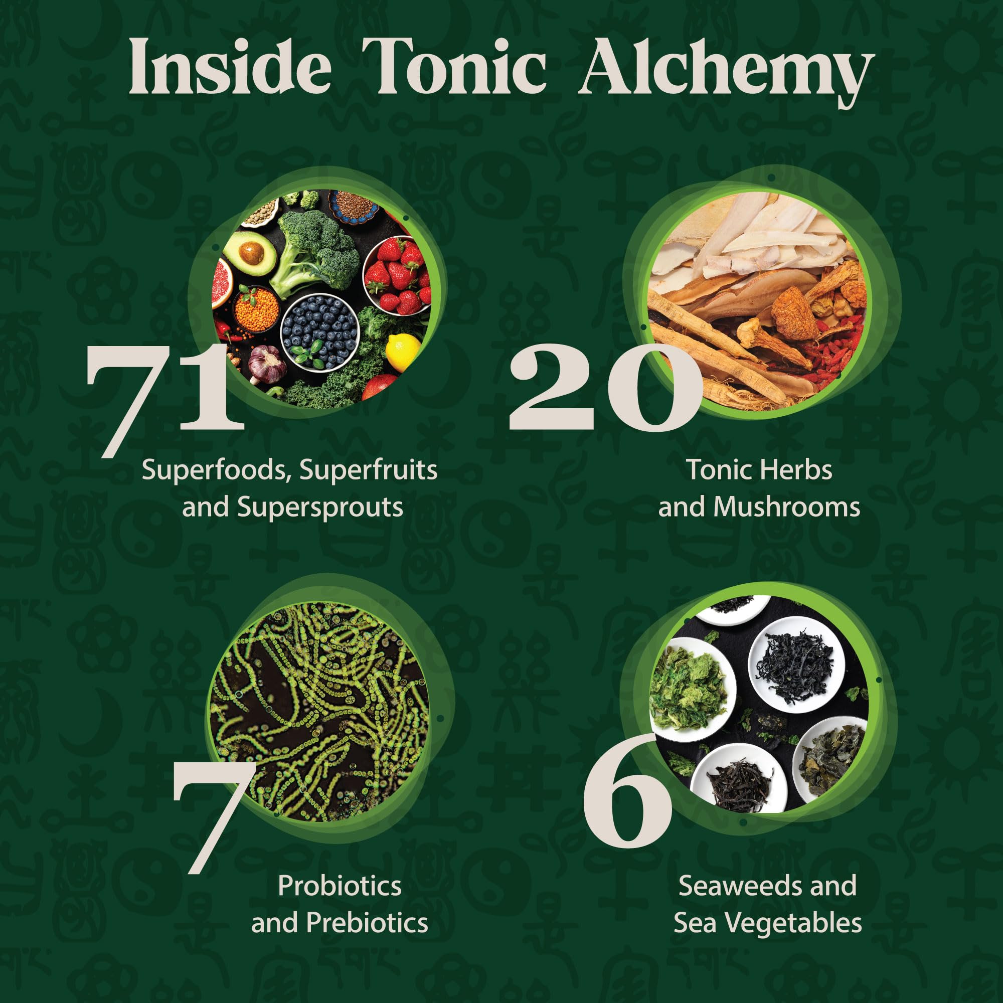 Dragon Herbs Tonic Alchemy Superfood Greens Powder with 91 Ingredients: Tonic Herbs, Ashwagandha, Mushrooms, Probiotics, Super Greens, Seaweeds, Fruits, Vegetables, Spirulina - 30 Servings Dragon Herbs buy supplements canada