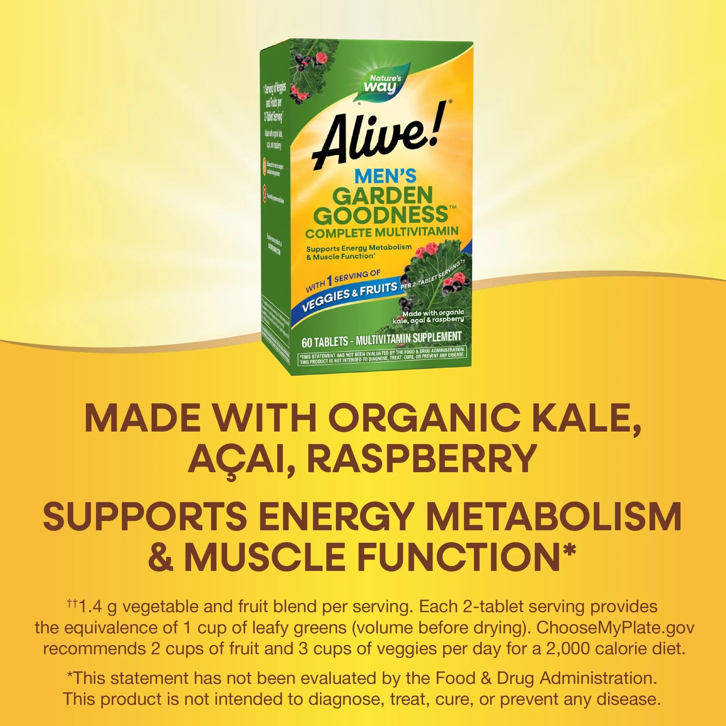 Nature's Way Alive! Garden Goodness Men's Multivitamin, Veggie & Fruit Blend (1400mg per serving), Made with Organic Kale, 60 Count Nature's Way buy supplements canada