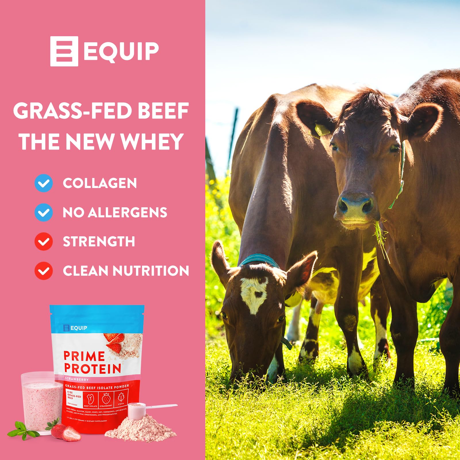 Equip Foods Prime Protein - Grass-Fed Beef Protein Powder Isolate -Paleo and Keto Equip buy supplements canada