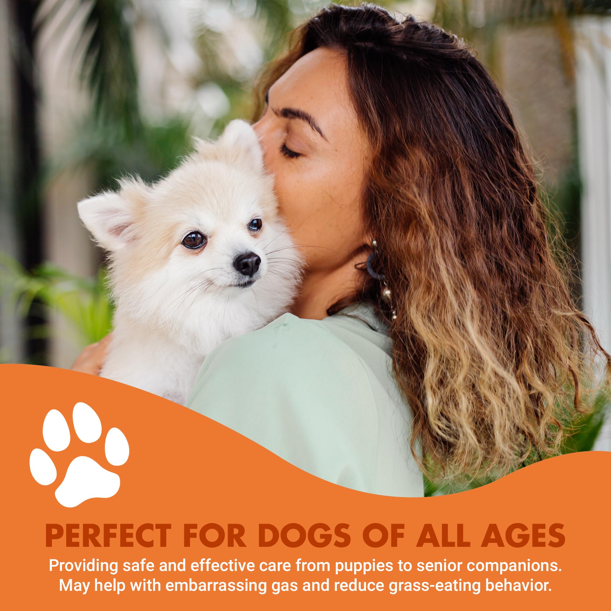 Pre & PostBiotic Support for Dogs – Digestive Upset, Stool Quality & Sensitive Stomach Support – Easy Liquid Formula for Picky Eaters LIQUID-VET buy supplements canada