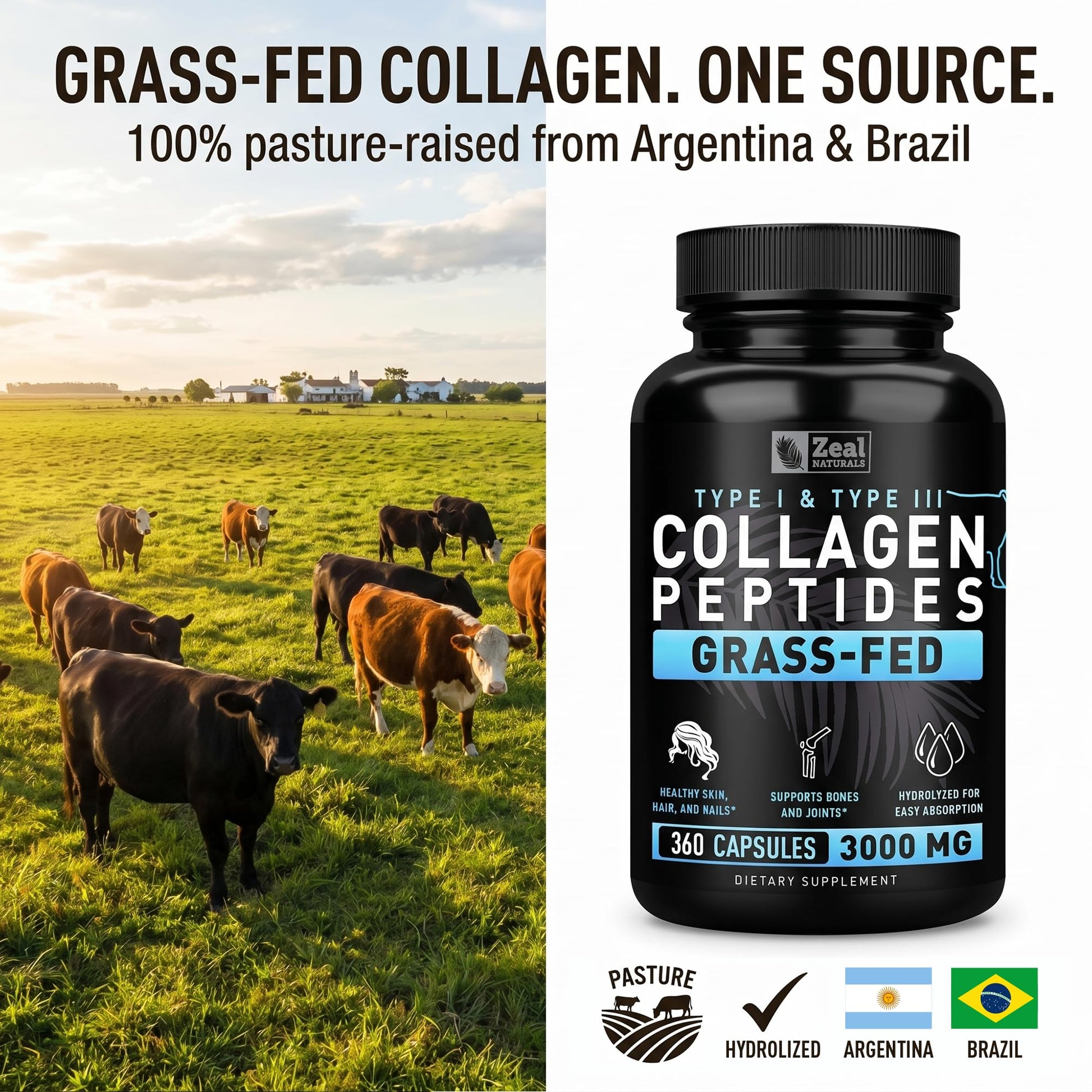 Collagen Peptides Capsules 360 Count - Grass Fed Bovine Hydrolyzed Collagen Pills - Hair, Skin & Nails, Joint Support - Collagen Supplements for Women & Men Zeal Naturals buy supplements canada