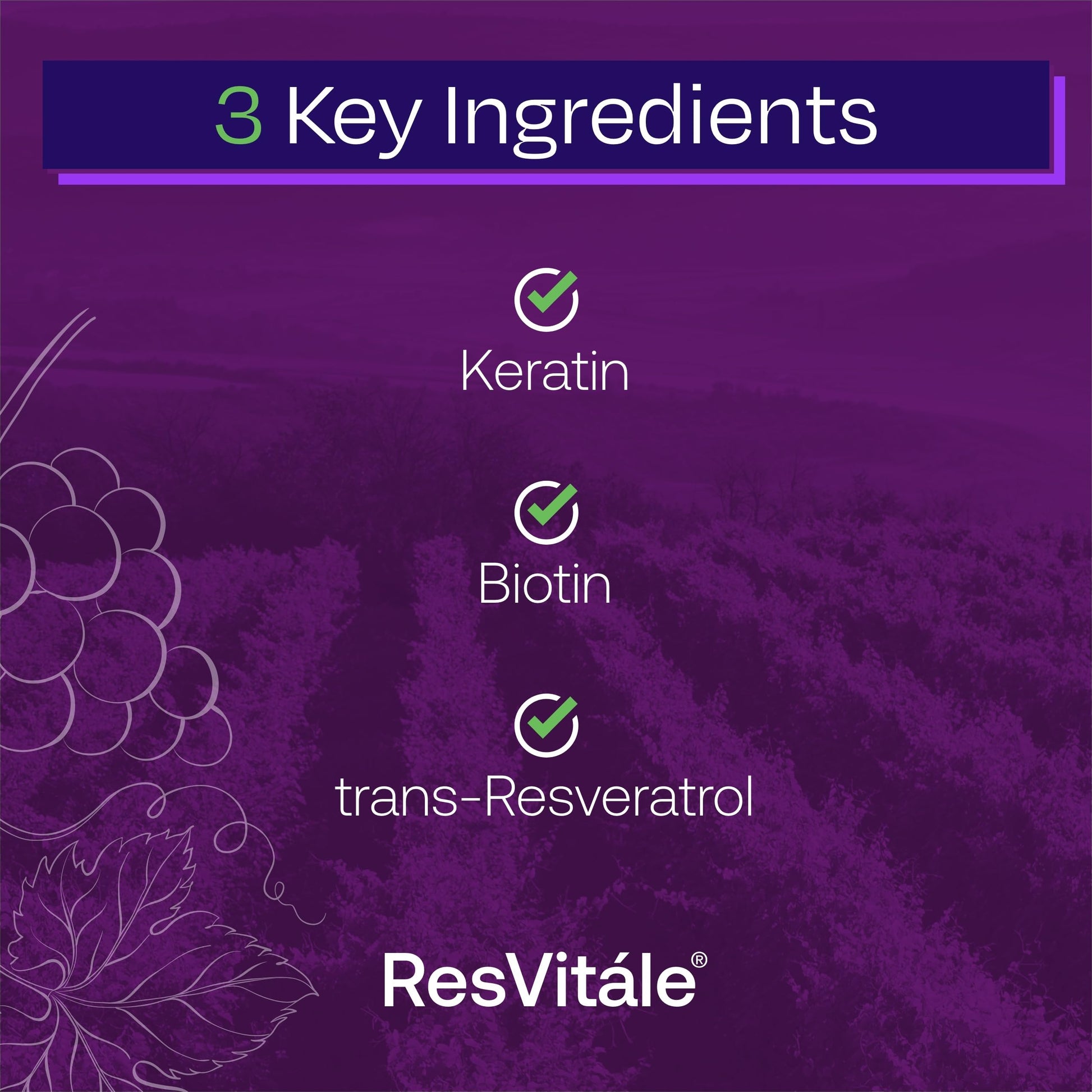 ResVitále Keratin Hair Enhance - Keratin Supplement for Hair Growth - 60 Capsules ResVitale buy supplements canada