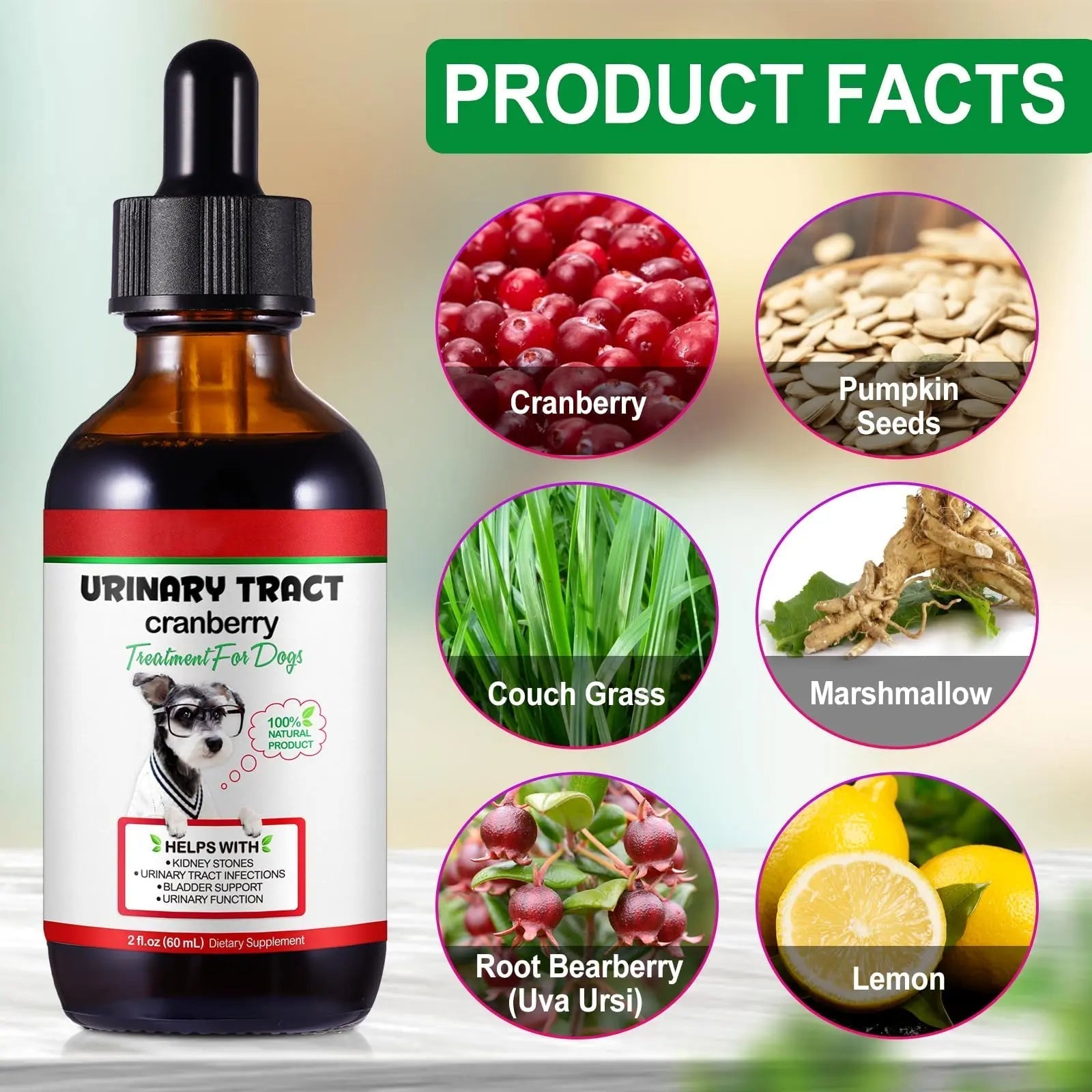 Dog UTI Treatment - Urinary Tract Infection Treatments, Kidney+Bladder Support Supplement, Natural Cranberry Extract for Dogs, Supports Urinary and Digestive Health (2 Fl Oz (Pack of 2)) Onznoz buy supplements canada