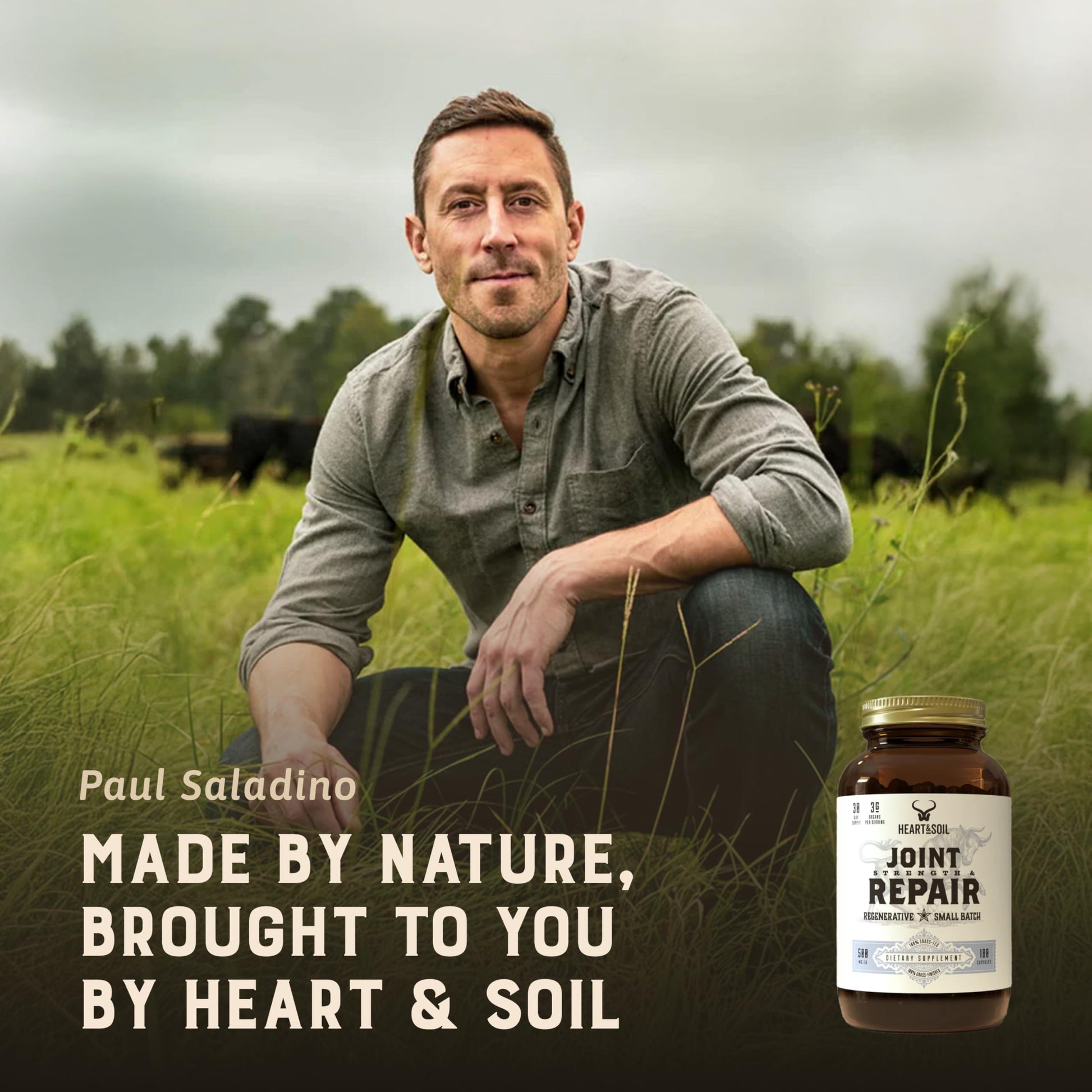 Heart & Soil 100% Grass Fed & Finished Joint Support Supplement from Regenerative Cattle with Trachea, Scapula & Bone Marrow – Supports Joint Strength & Mobility – 3000mg – Glass Bottle – 180 Capsules HEART & SOIL buy supplements canada