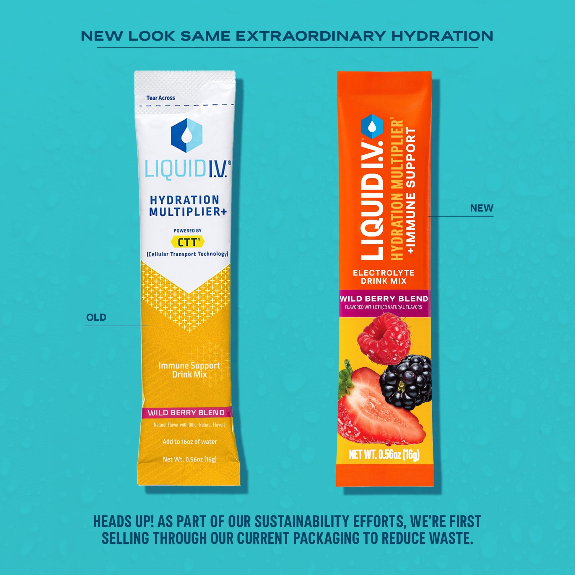 Liquid I.V.® Hydration Multiplier +Immune Support - Wild Berry Blend | Electrolyte Powder Drink Mix | 1 Pack (14 Servings) Liquid I.V. buy supplements canada