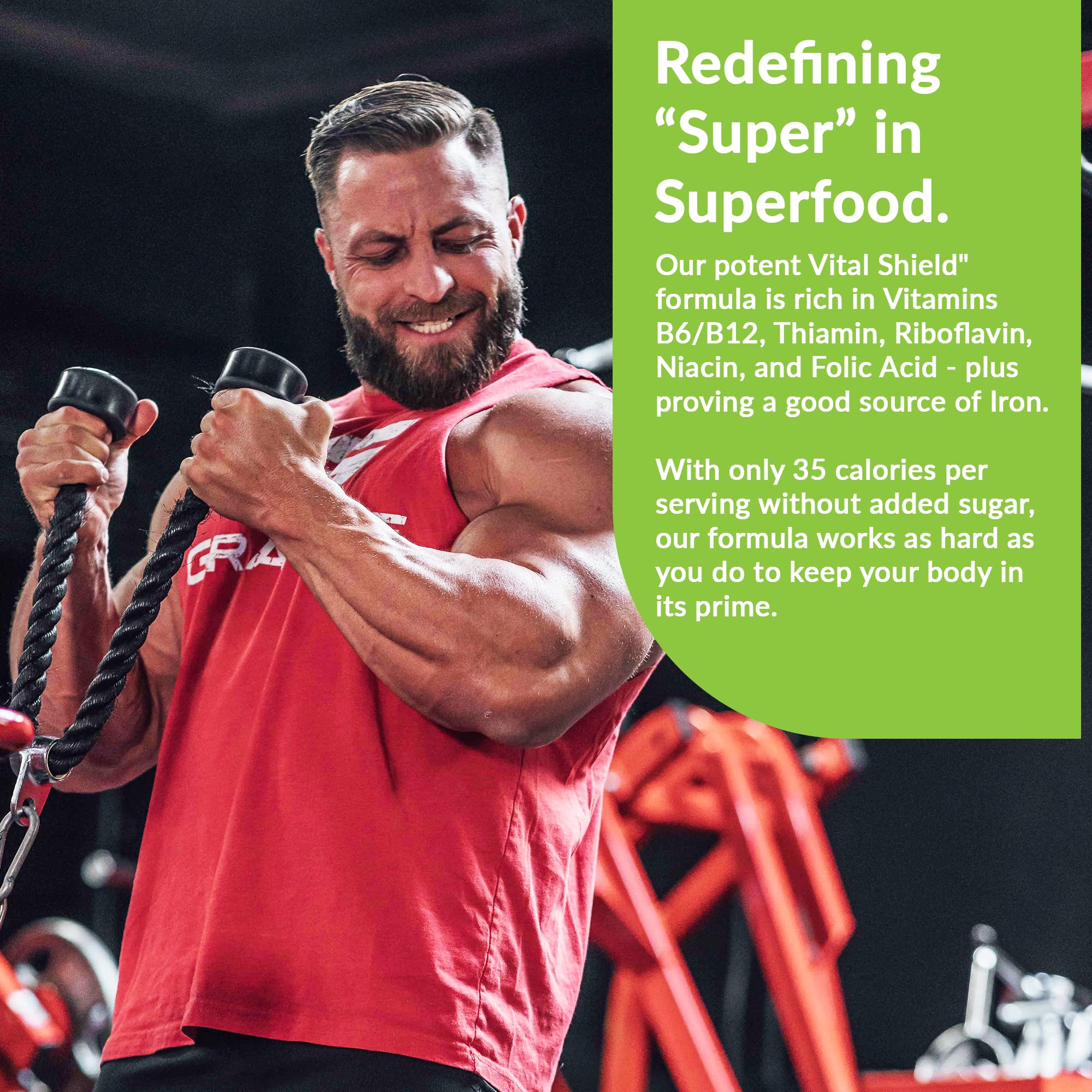 Granite Nutrition Vital Shield - USDA Organic Superfood Greens with Mushrooms & Tart Cherry – Supports Energy, Immune Function & Digestive Health – Lemon Lime Flavor (30 Servings) Granite Supplements buy supplements canada