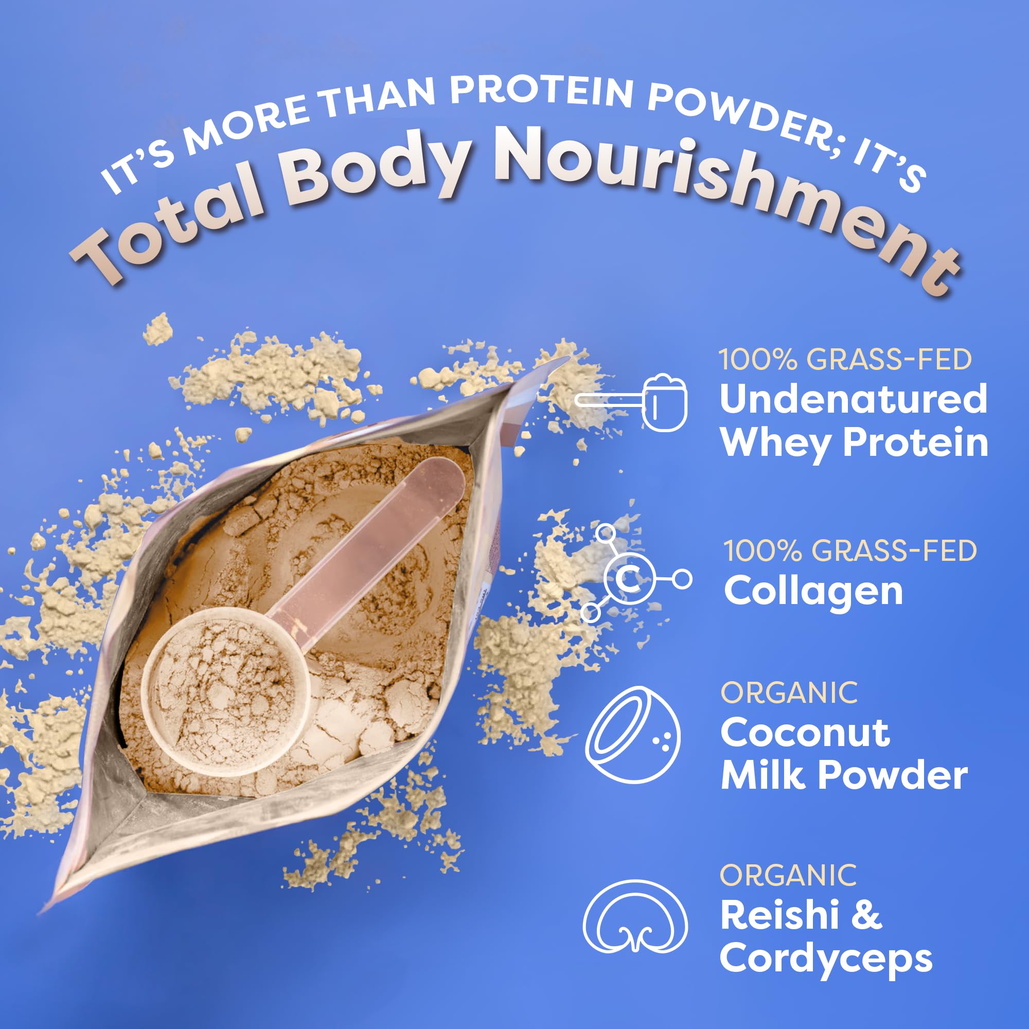 FlavCity Protein Powder Smoothie, Vanilla - 100% Grass-Fed Whey Protein FlavCity buy supplements canada