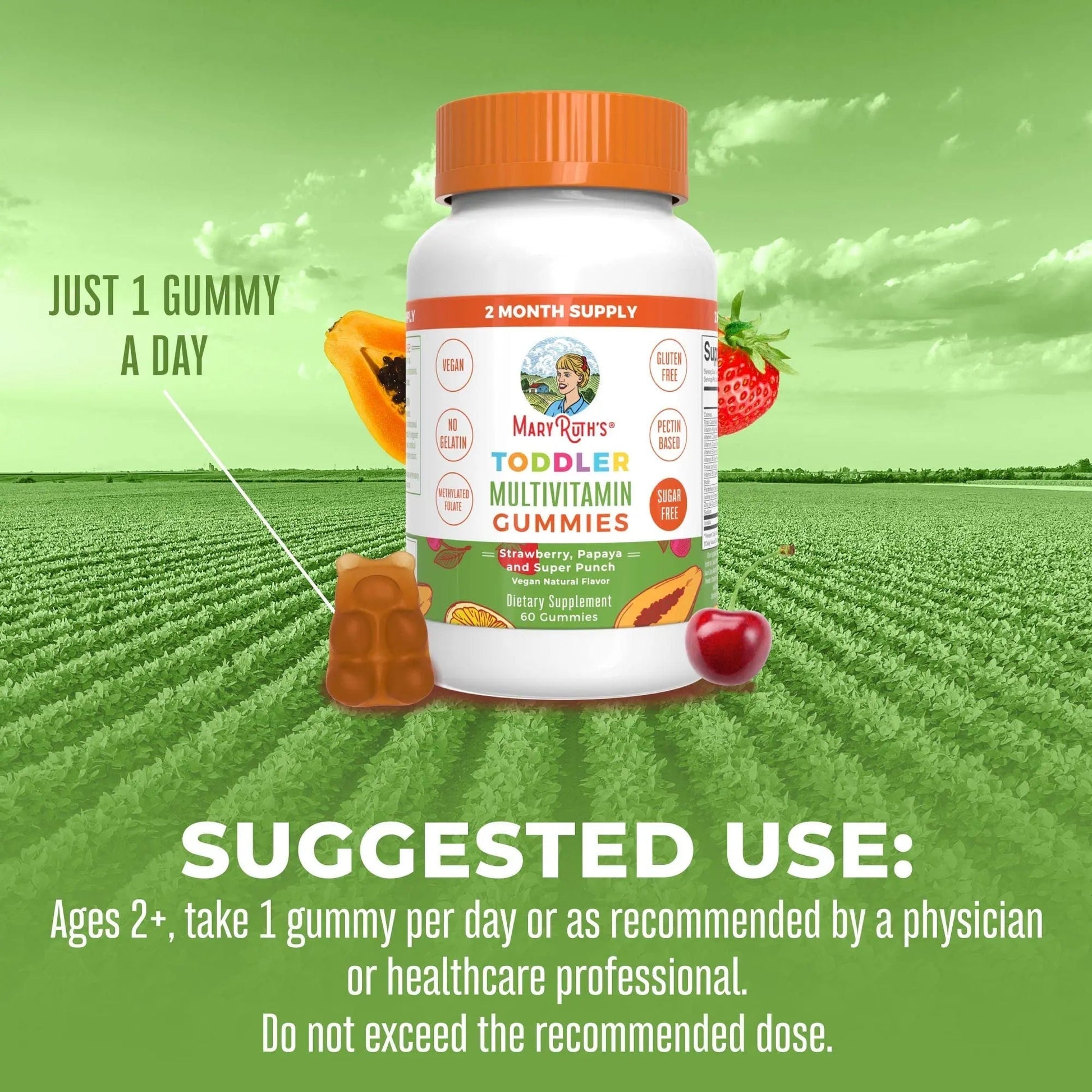 MaryRuth Organics Sugar Free Vitamin Gummies for Kids Age 2 | 2 Month Supply Multivitamin with Vitamin C, D3, Zinc | 1 Gummy Per Day | Toddler Vitamins MaryRuth Organics buy supplements canada