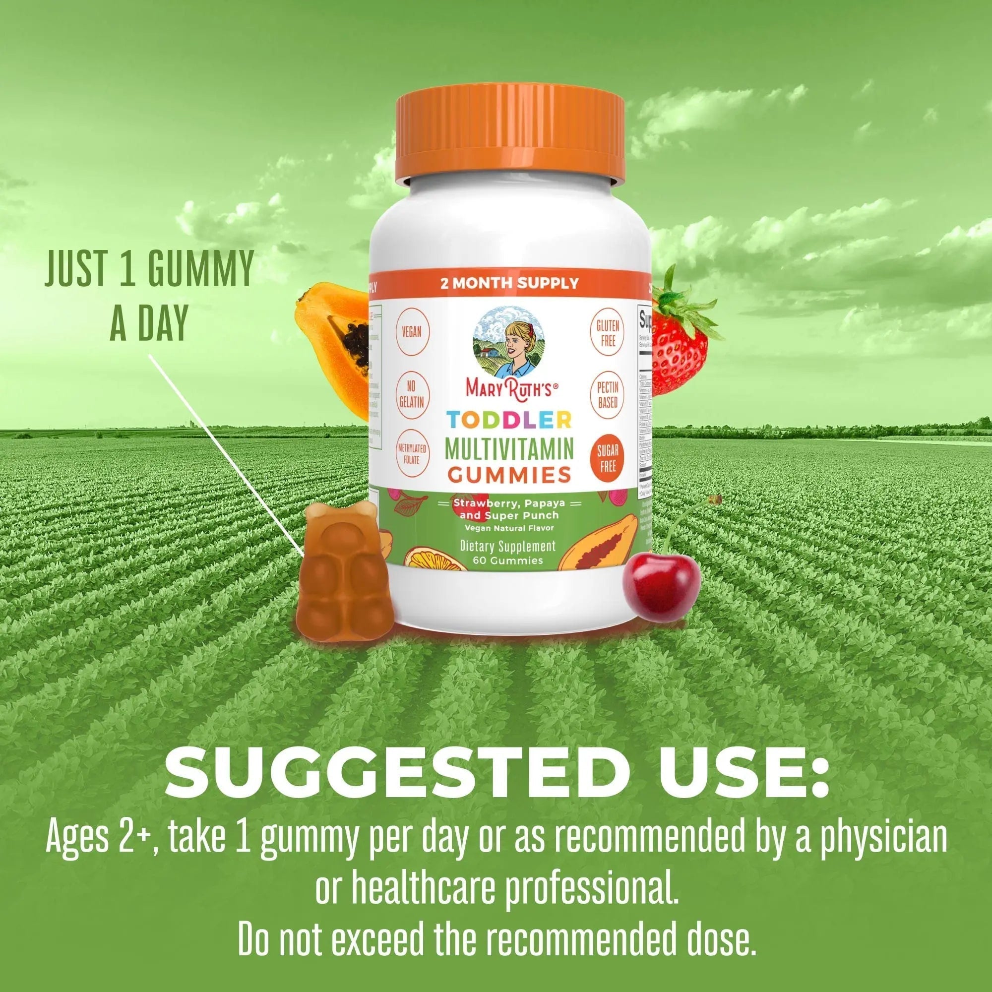 MaryRuth Organics Sugar Free Vitamin Gummies for Kids Age 2 | 2 Month Supply Multivitamin with Vitamin C, D3, Zinc | 1 Gummy Per Day | Toddler Vitamins MaryRuth Organics buy supplements canada