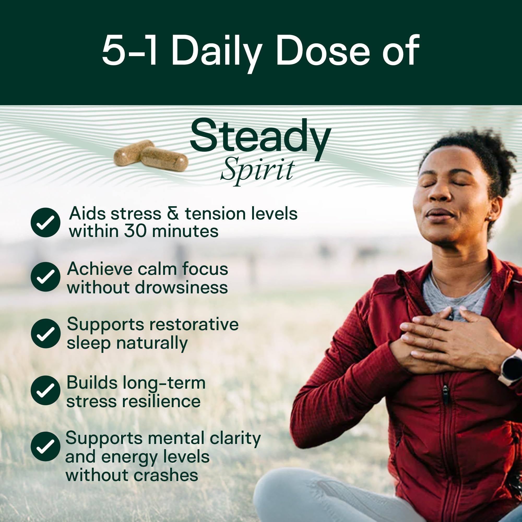 Adapt Naturals Steady Spirit Stress, Anxiety & Mood Support Supplement for Women and Men with Ashwagandha, L-Theanine, Holy Basil, Saffron, and Lemon Balm - Stress Relief Supplement - 30 Day Supply ADAPT NATURALS BY CHRIS KRESSER buy supplements canada
