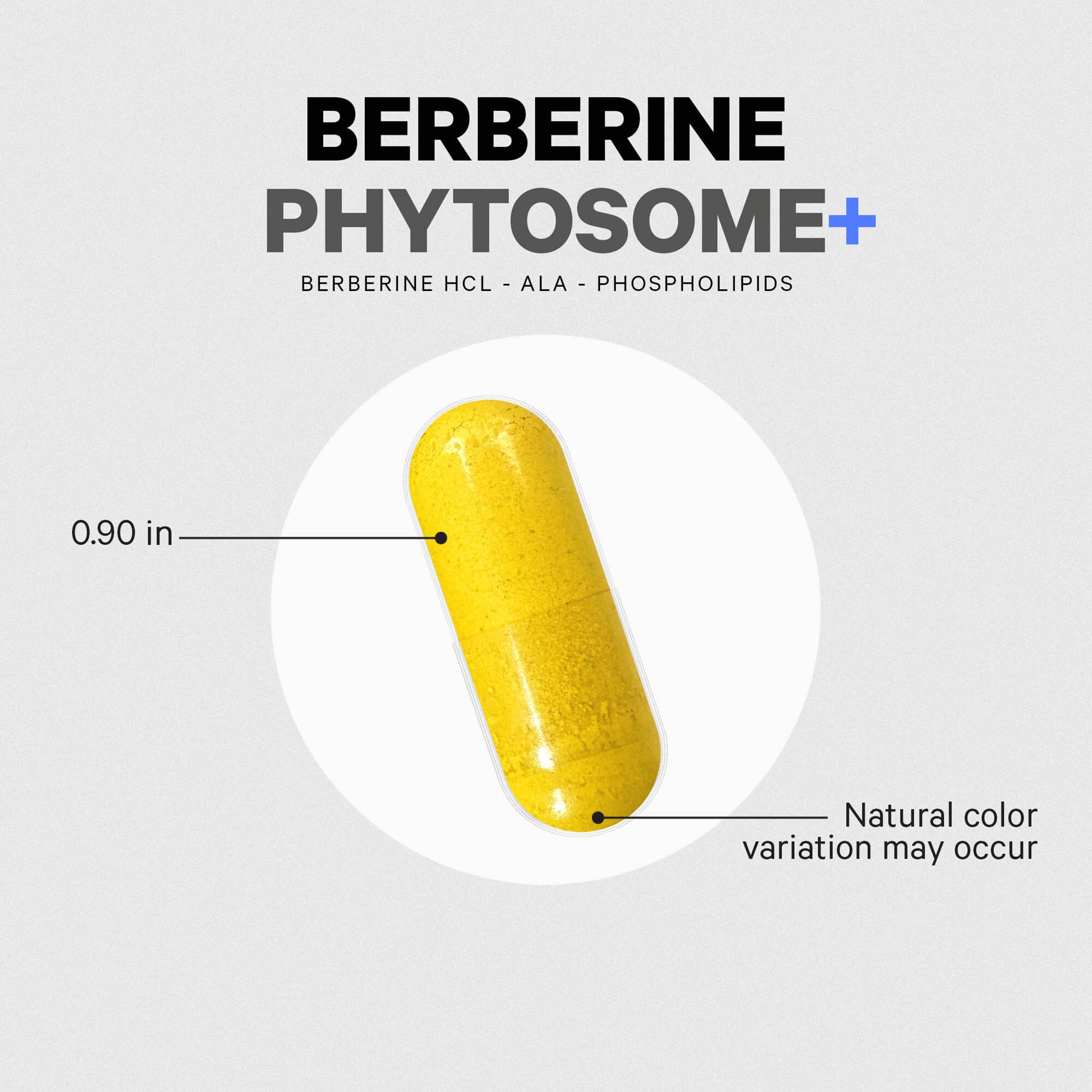 Codeage Berberine Phytosome Supplement - Berberine HCL, Alpha Lipoic Acid, Phospholipid Complex - 2-Month Supply - Berberine HCL - Berberine Hydrochloride - Gluten-Free, Non-GMO - 60 Capsules Codeage buy supplements canada