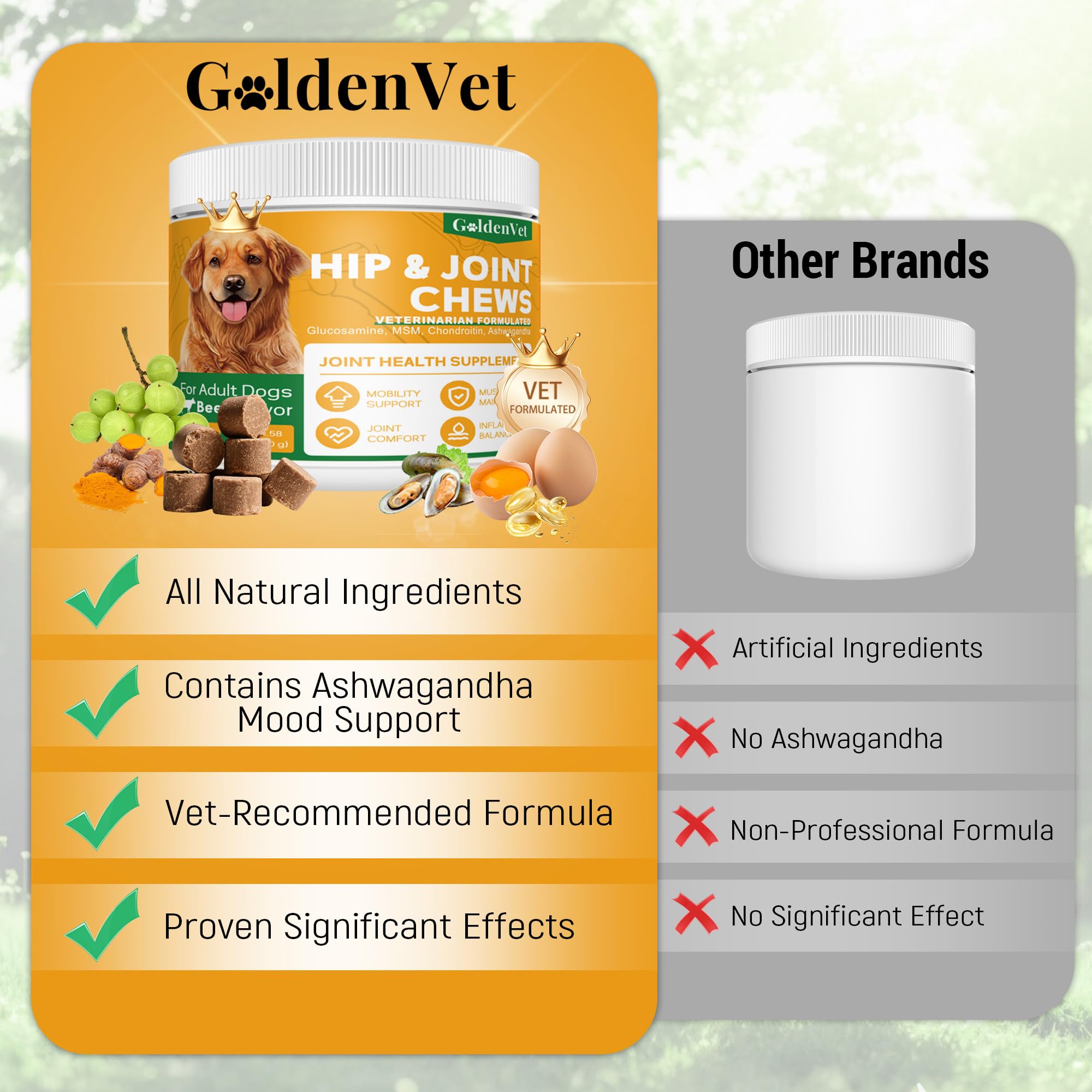 Hip and Joint Chews for Senior Dogs with Glucosamine HCL, Chondroitin, Green-lipped Mussel, Ashwagandha for Anti Inflammatory, Mobility Support, Muscle Maintenance, Joint Comfort 120 Ct GOLDENVET buy supplements canada