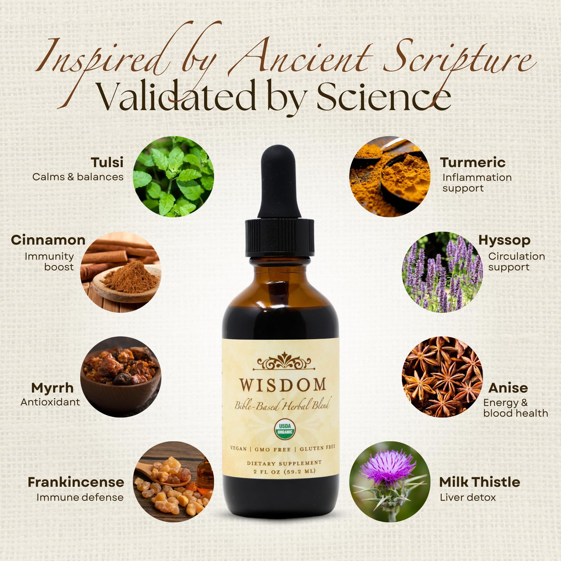 Organic Turmeric, Frankincense and Myrrh – Herbal Supplement Blend for Energy, Detox, Focus, Immunity & Stress – Non-GMO Vegan Tonic with Milk Thistle – Wisdom Bible Based Blend – 2oz Liquid Drops Wisdom Nutrition buy supplements canada