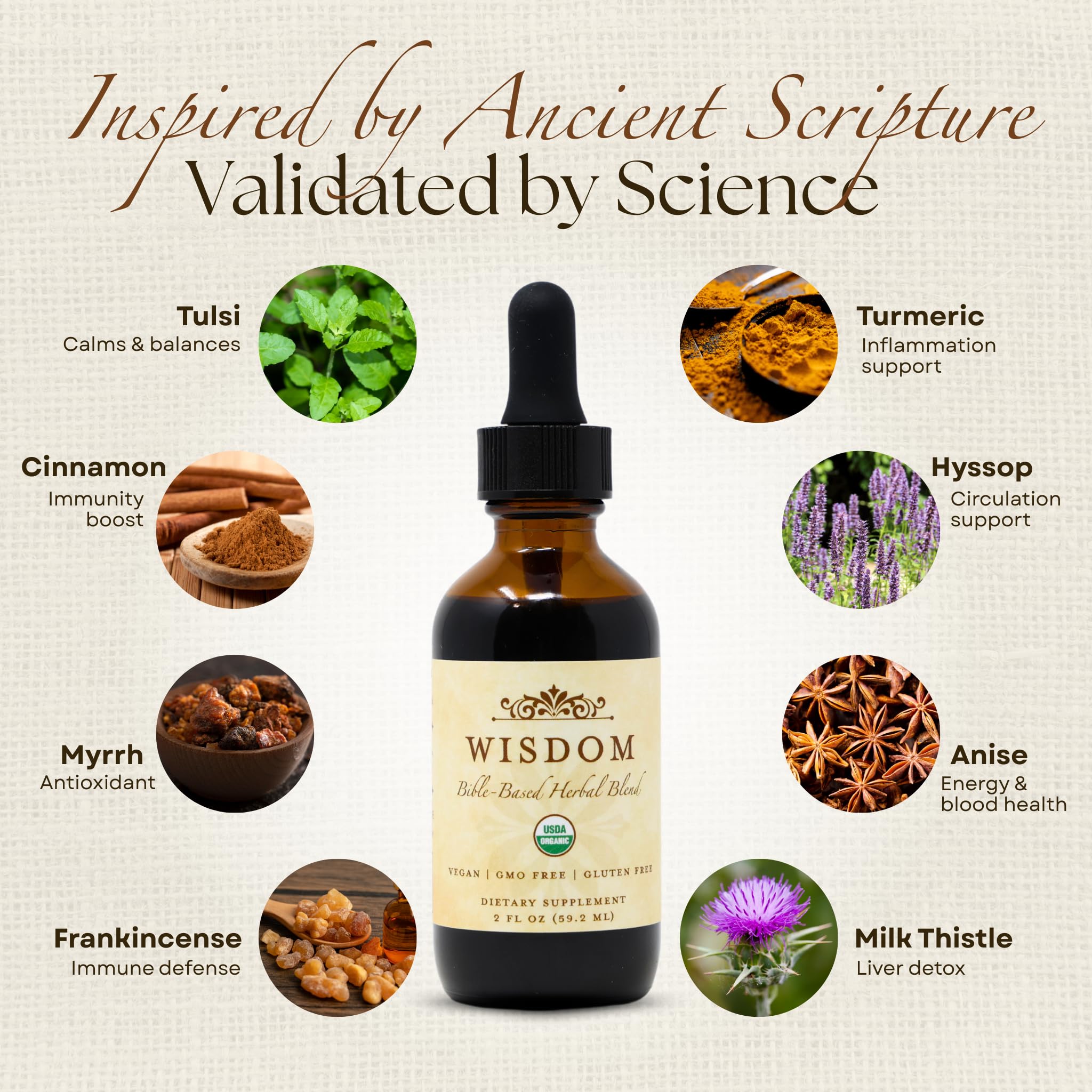 Organic Turmeric, Frankincense and Myrrh – Herbal Supplement Blend for Energy, Detox, Focus, Immunity & Stress – Non-GMO Vegan Tonic with Milk Thistle – Wisdom Bible Based Blend – 2oz Liquid Drops Wisdom Nutrition buy supplements canada