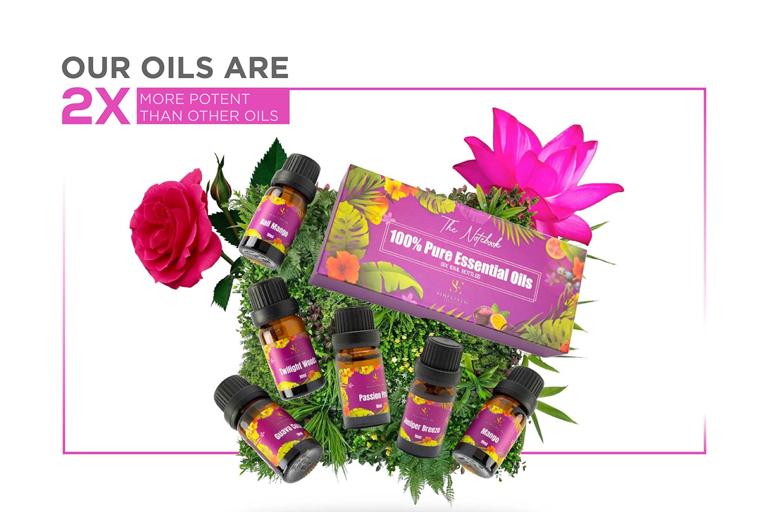 Simplistic Elegance Essential Oils Set - Top 6 Natural Aromatherapy Oils for Diffusers Humidifier Massage Simplistic Elegance buy supplements canada