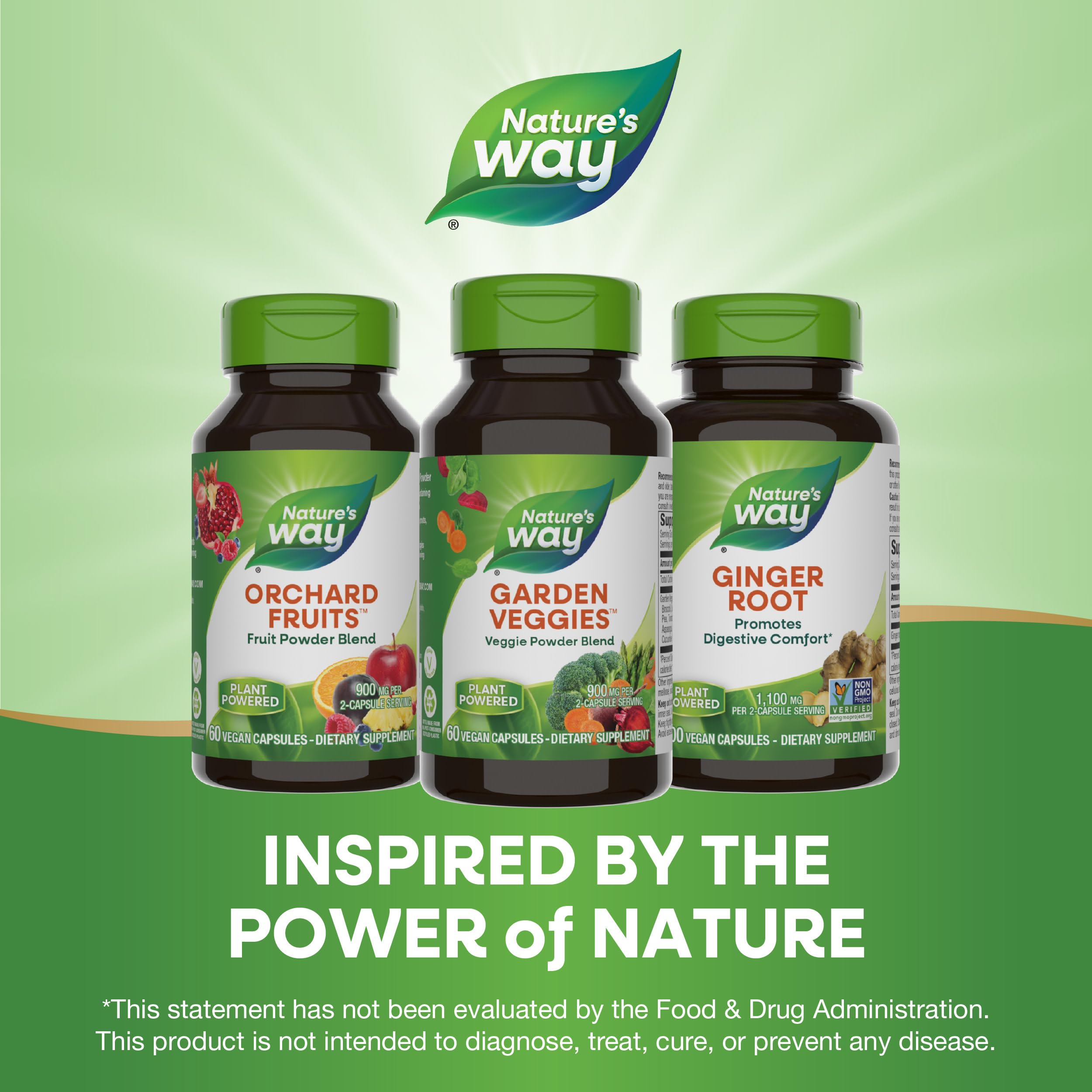 Nature's Way Garden Veggies, Veggie Powder Blend, 900 mg per 2-Capsule Serving, 60 Vegan Capsules Nature's Way buy supplements canada