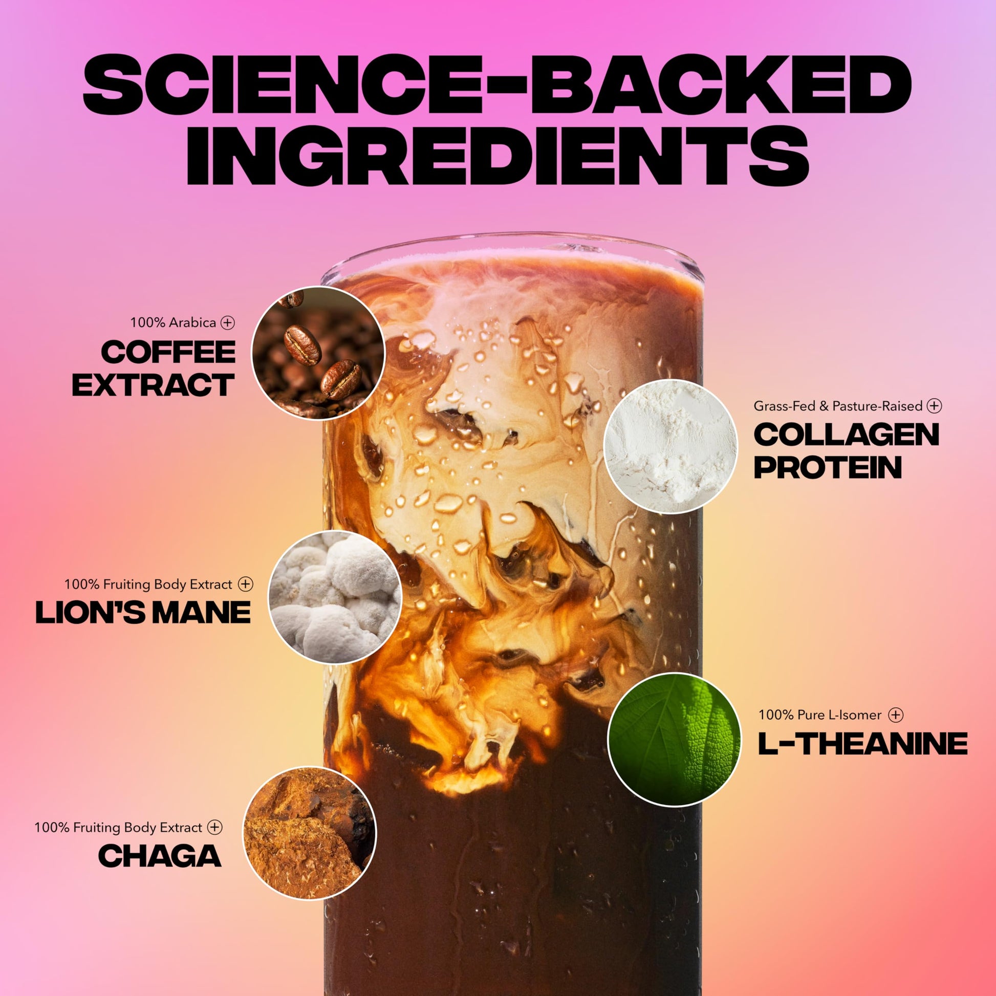 Everyday Dose Premium Adaptogenic Mushroom Coffee with Grass-Fed Collagen, Chaga, Lions Mane & L-Theanine for Better Focus, Energy, Digestion, Skin, and Immunity 30 Servings Everyday Dose buy supplements canada