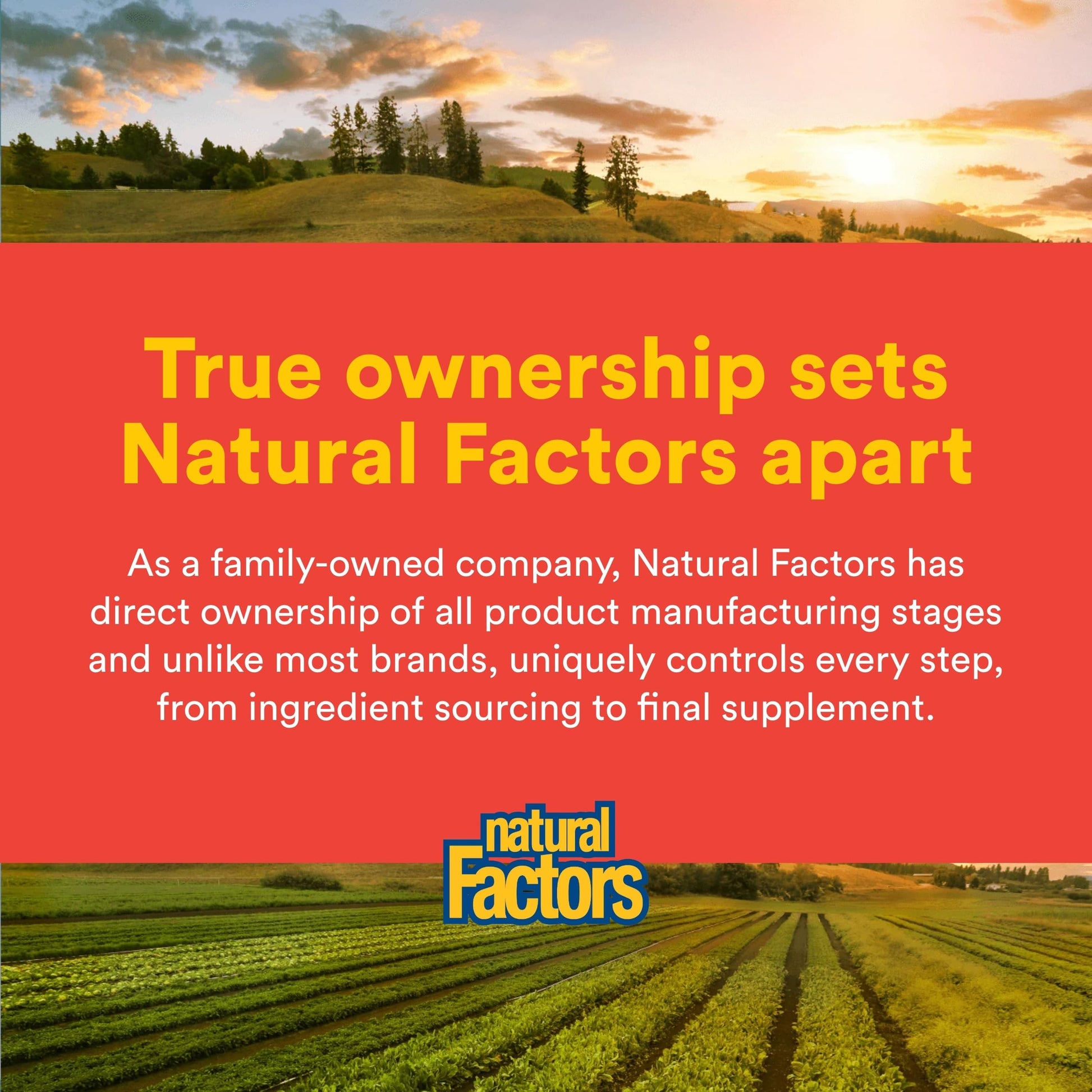 Natural Factors, Celadrin Joint Health, Promotes Flexibility, Mobility and Joint Function, 90 Softgels Natural Factors buy supplements canada