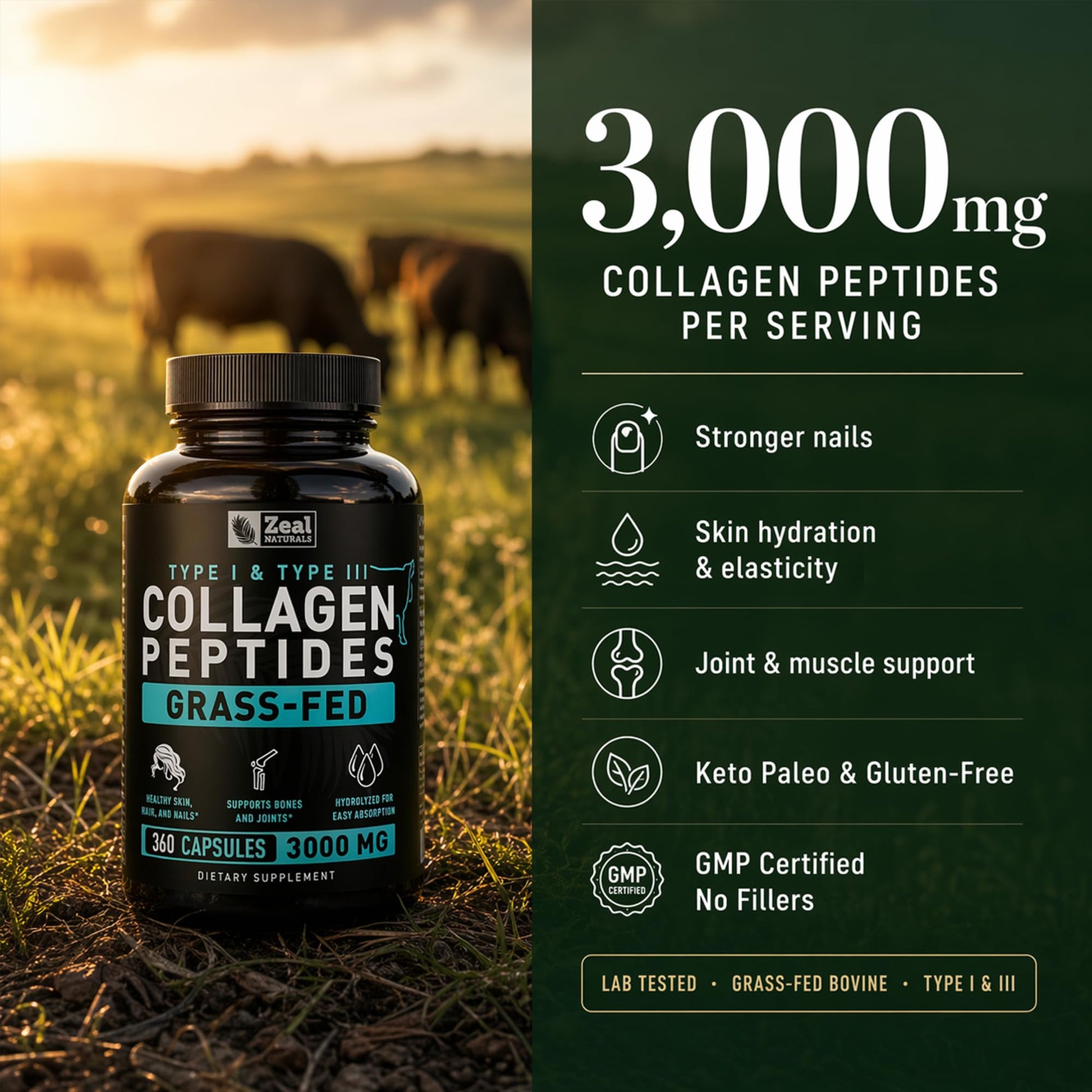 Collagen Peptides Capsules 360 Count - Grass Fed Bovine Hydrolyzed Collagen Pills - Hair, Skin & Nails, Joint Support - Collagen Supplements for Women & Men Zeal Naturals buy supplements canada